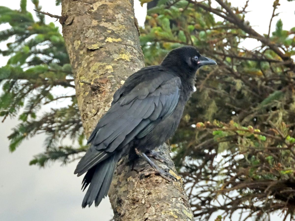 Community photo by Cecille