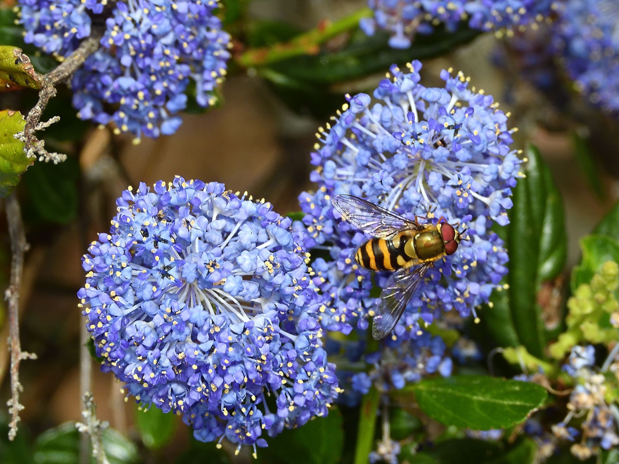 Community photo by Cecille