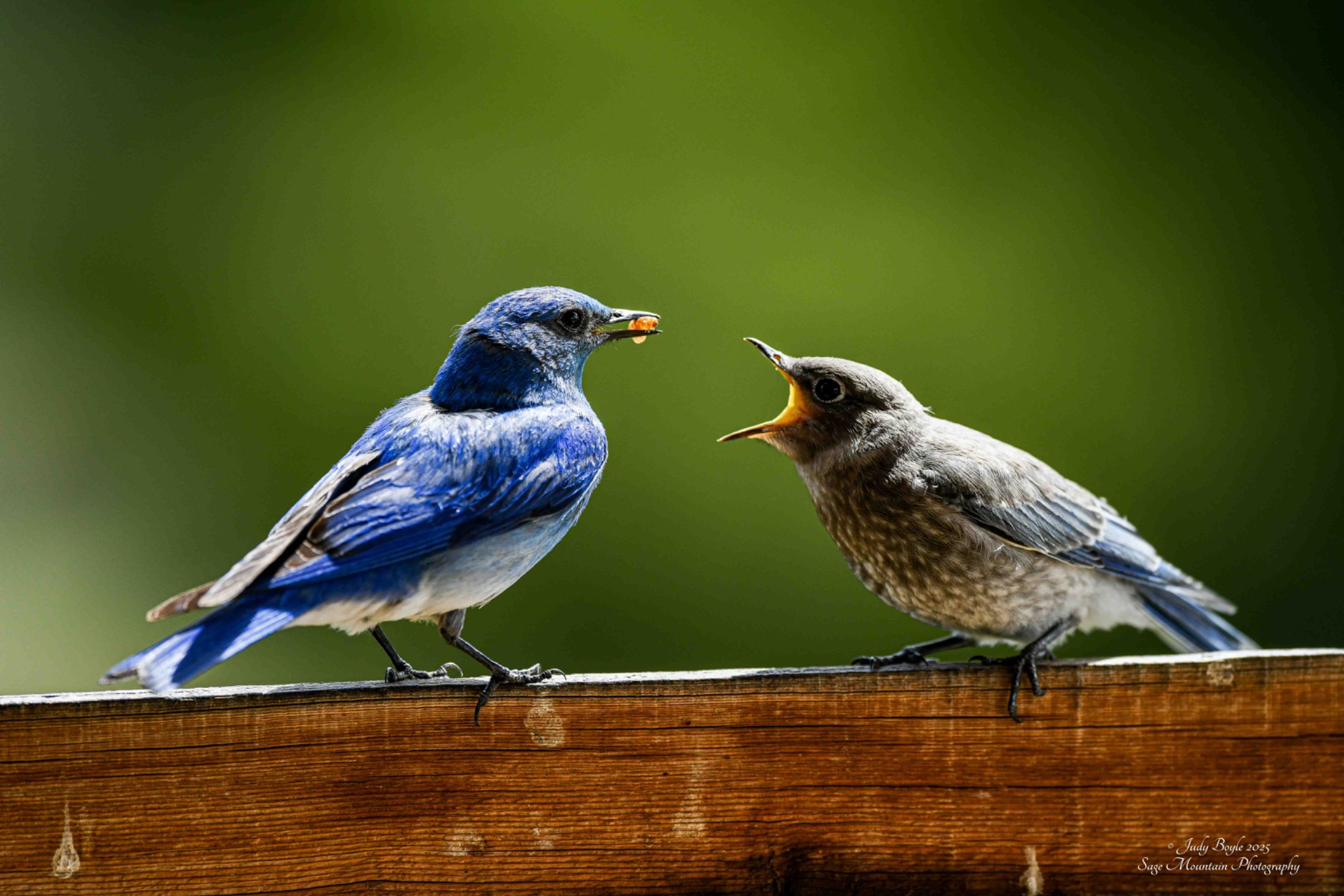 Community photo by Judy