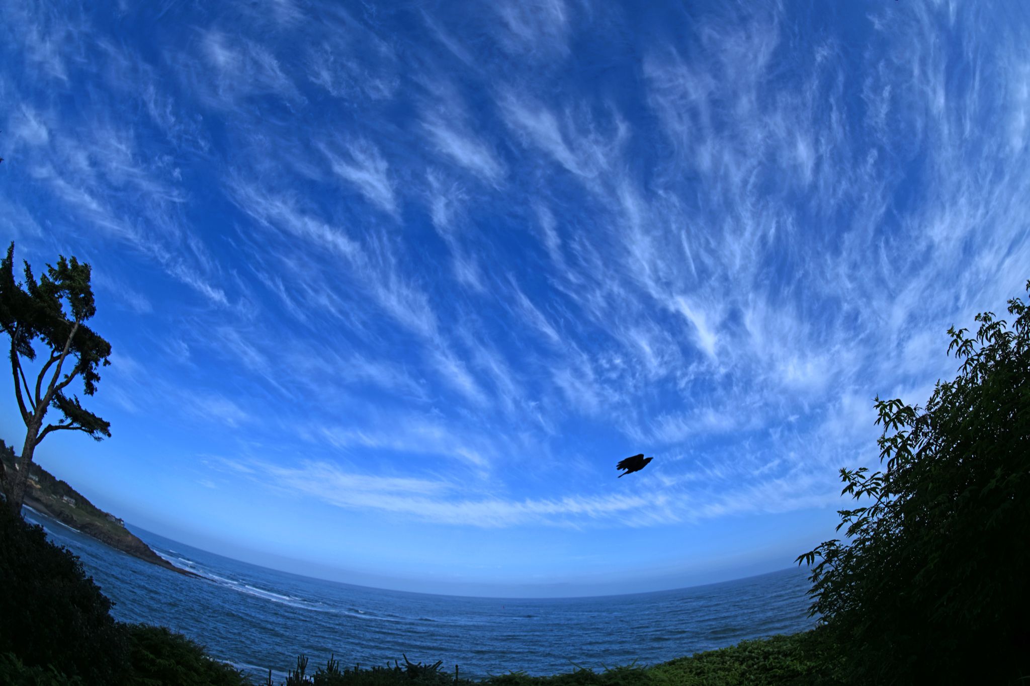 Community photo by Cecille Kennedy | Oregon Coast, Oregon