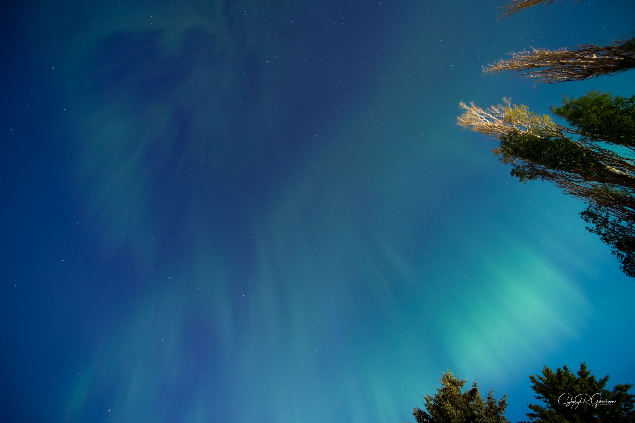 Community photo by Sheryl R Garrison | Southern Alberta, Canada