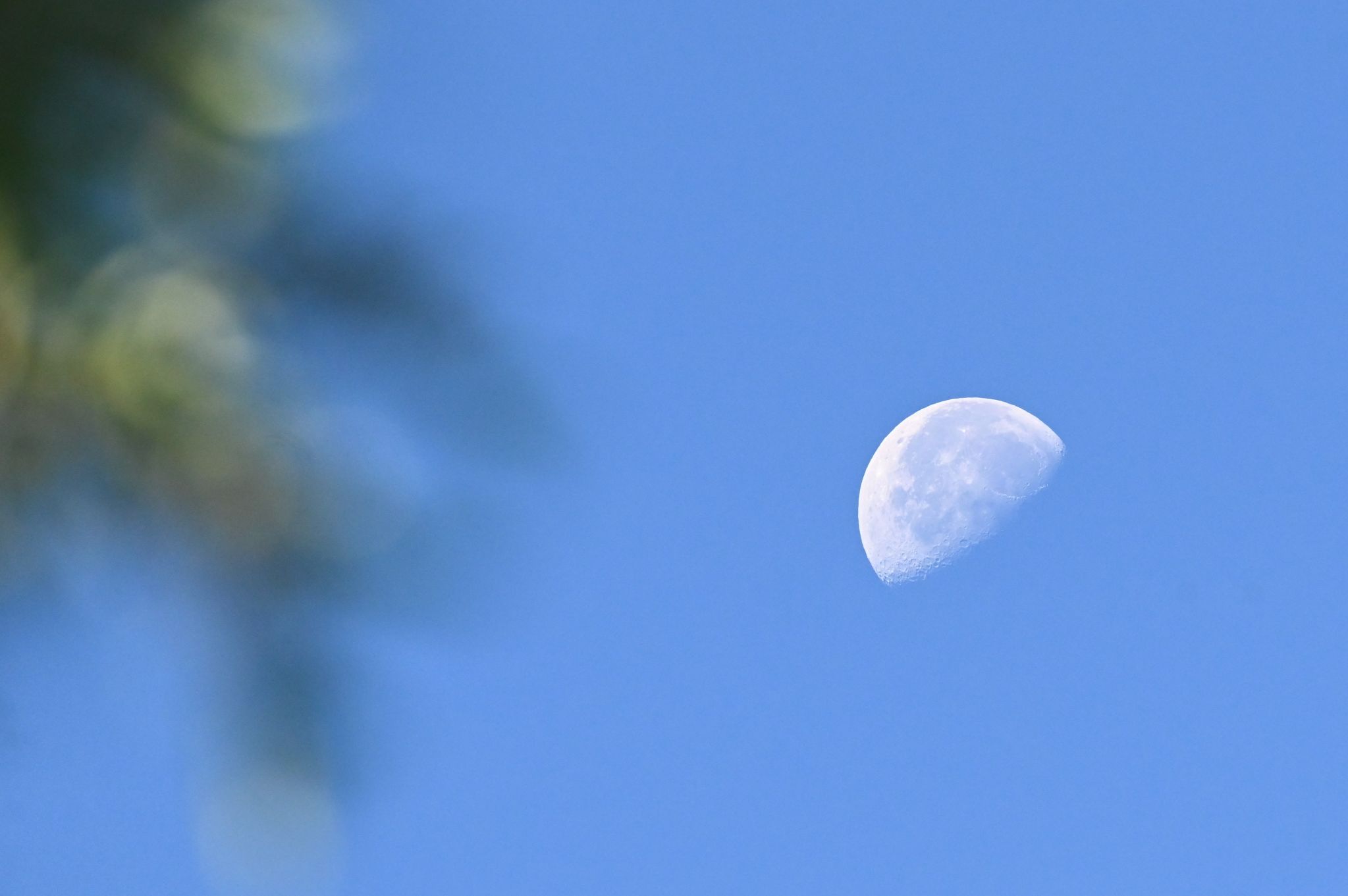 Community photo by Frank