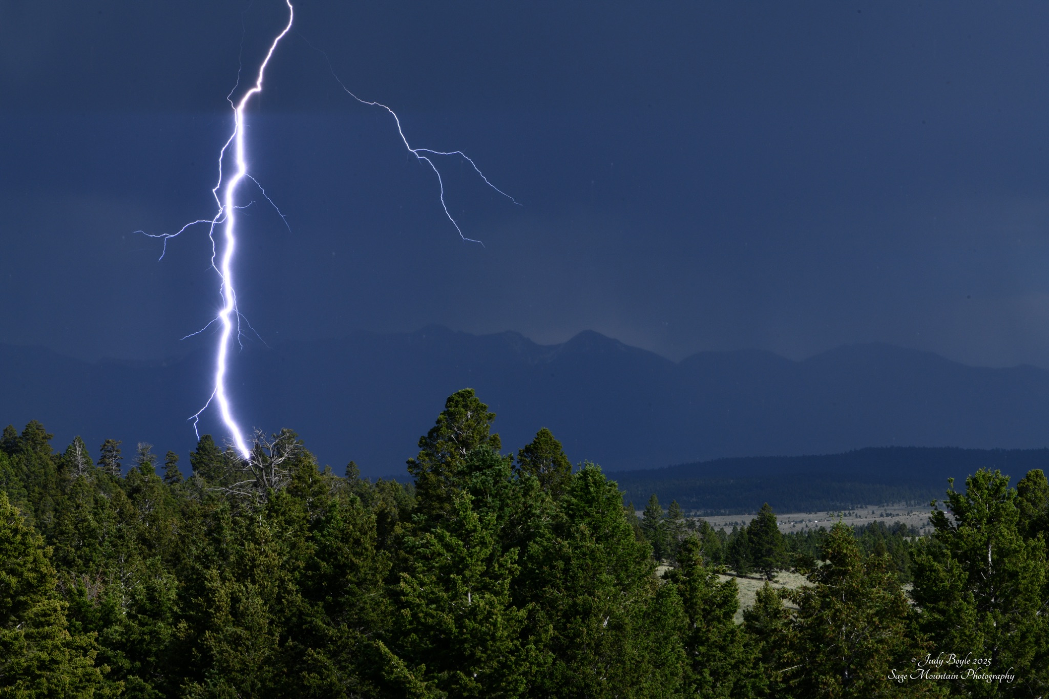 Community photo by Judy