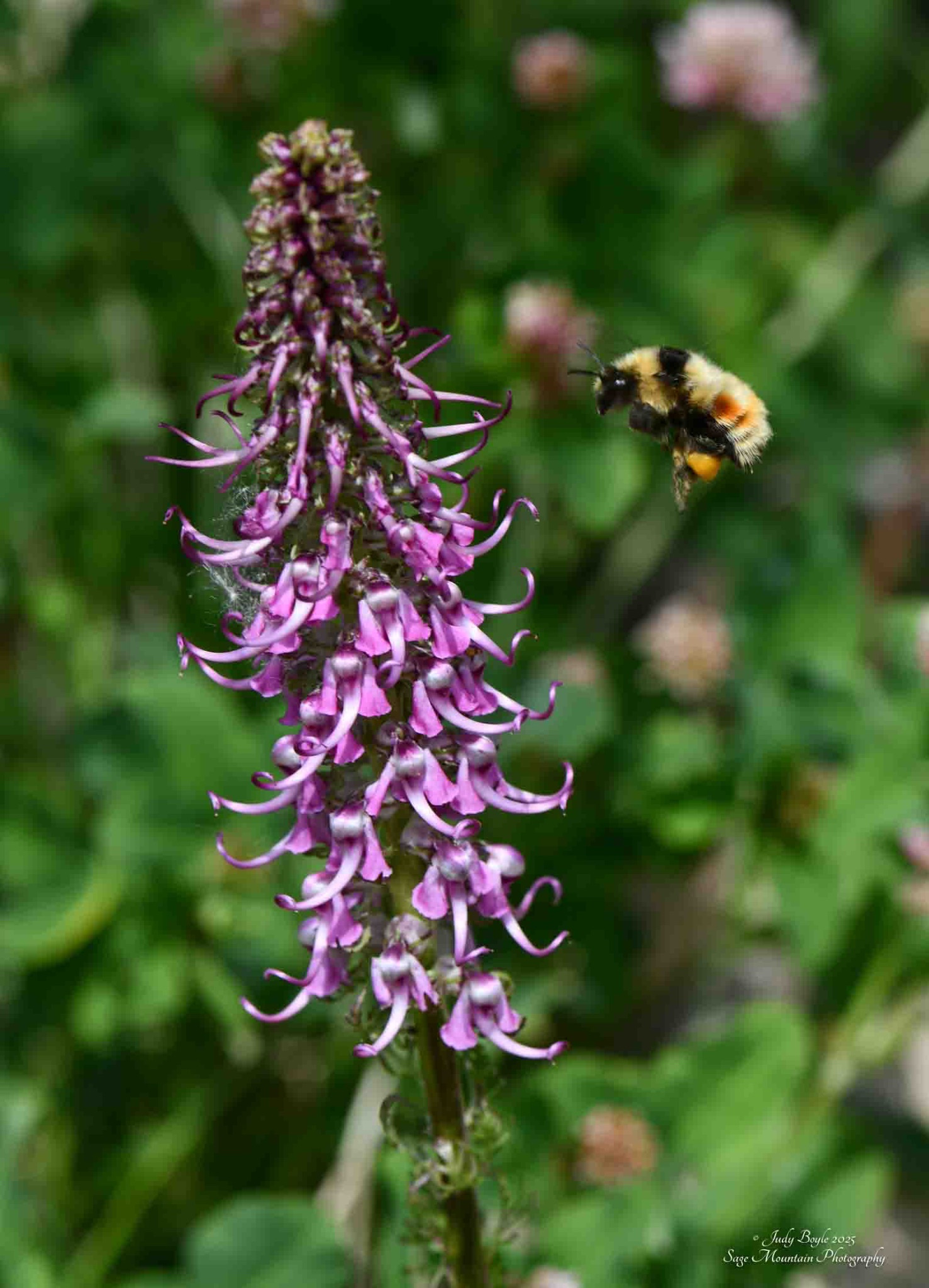 Community photo by Judy