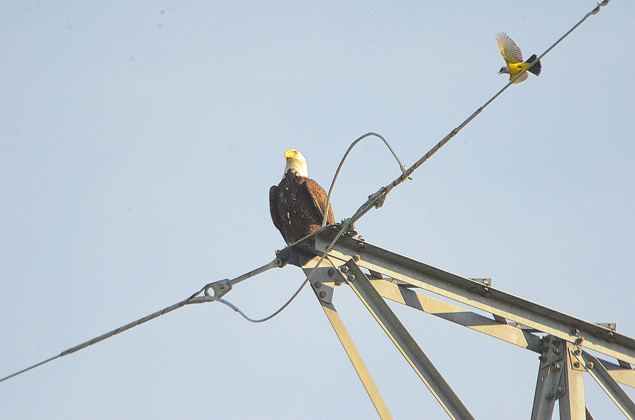 Community photo by Randy