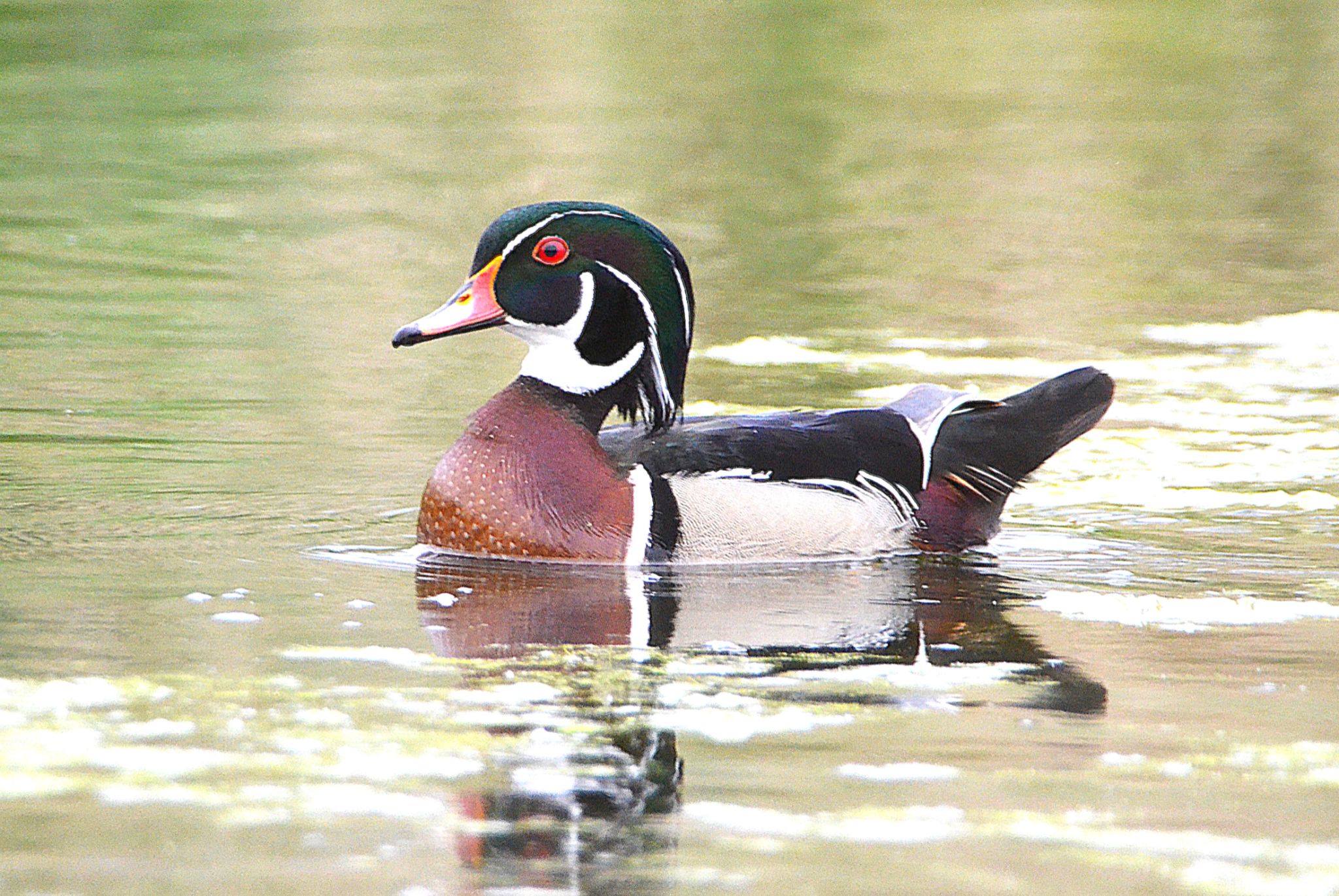 Community photo by Randy