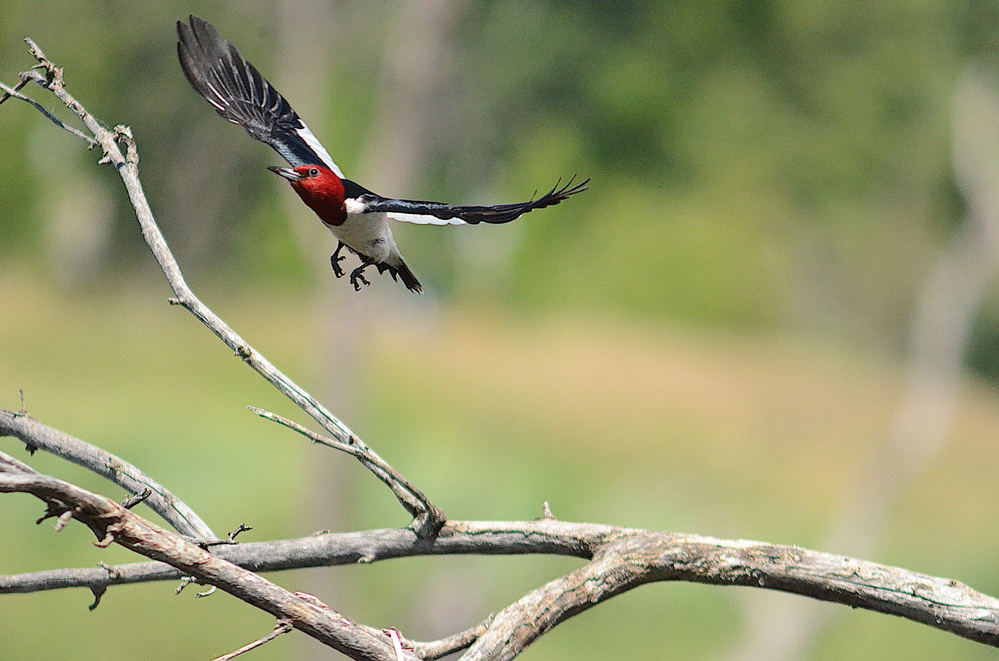 Community photo by Randy