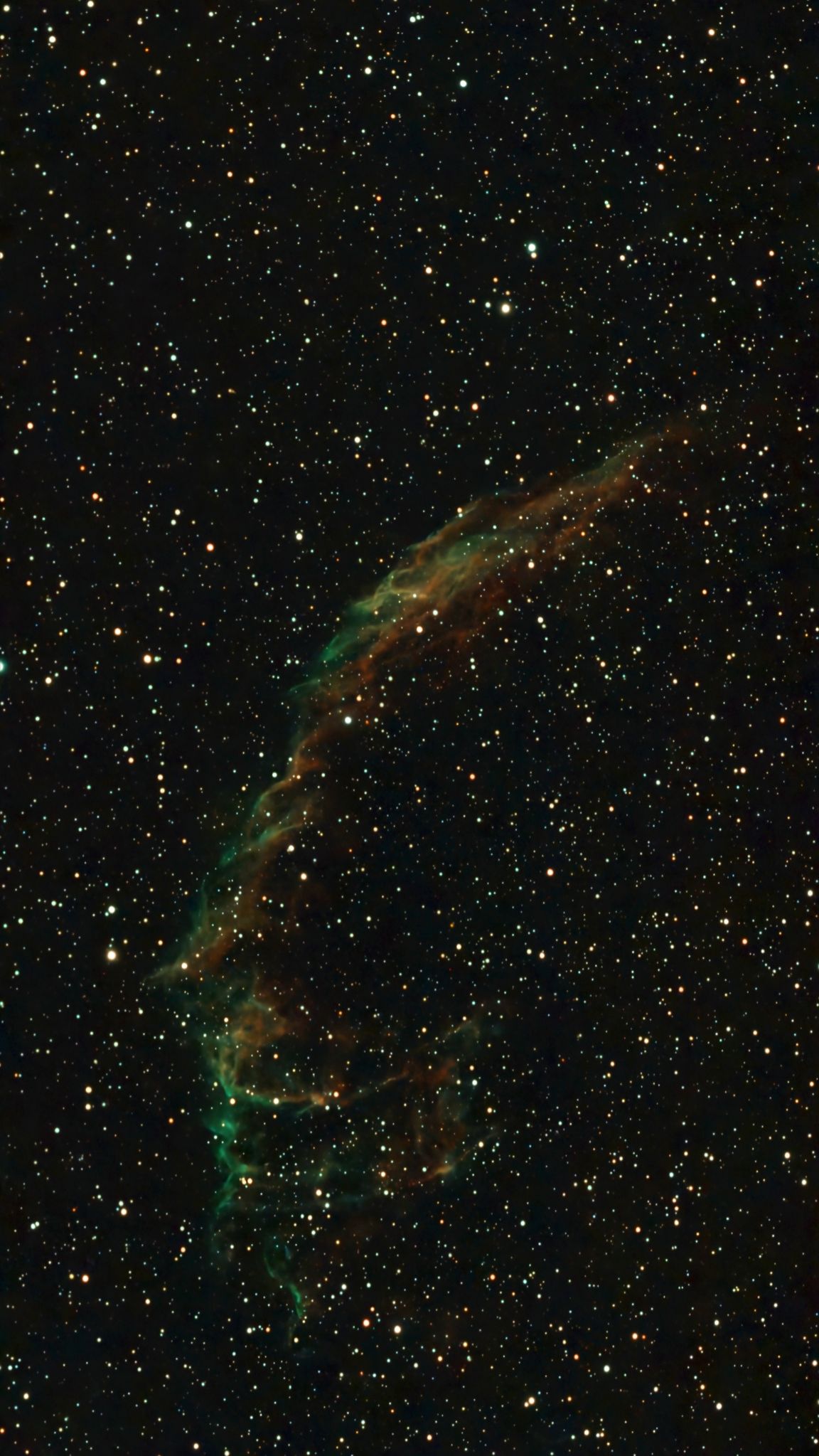 Community photo by Timothy Milligan | Sarasota, FL, USA