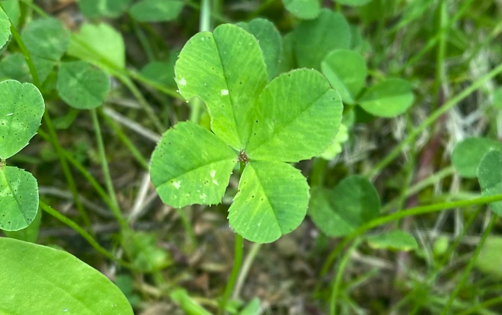 Community photo by Mac