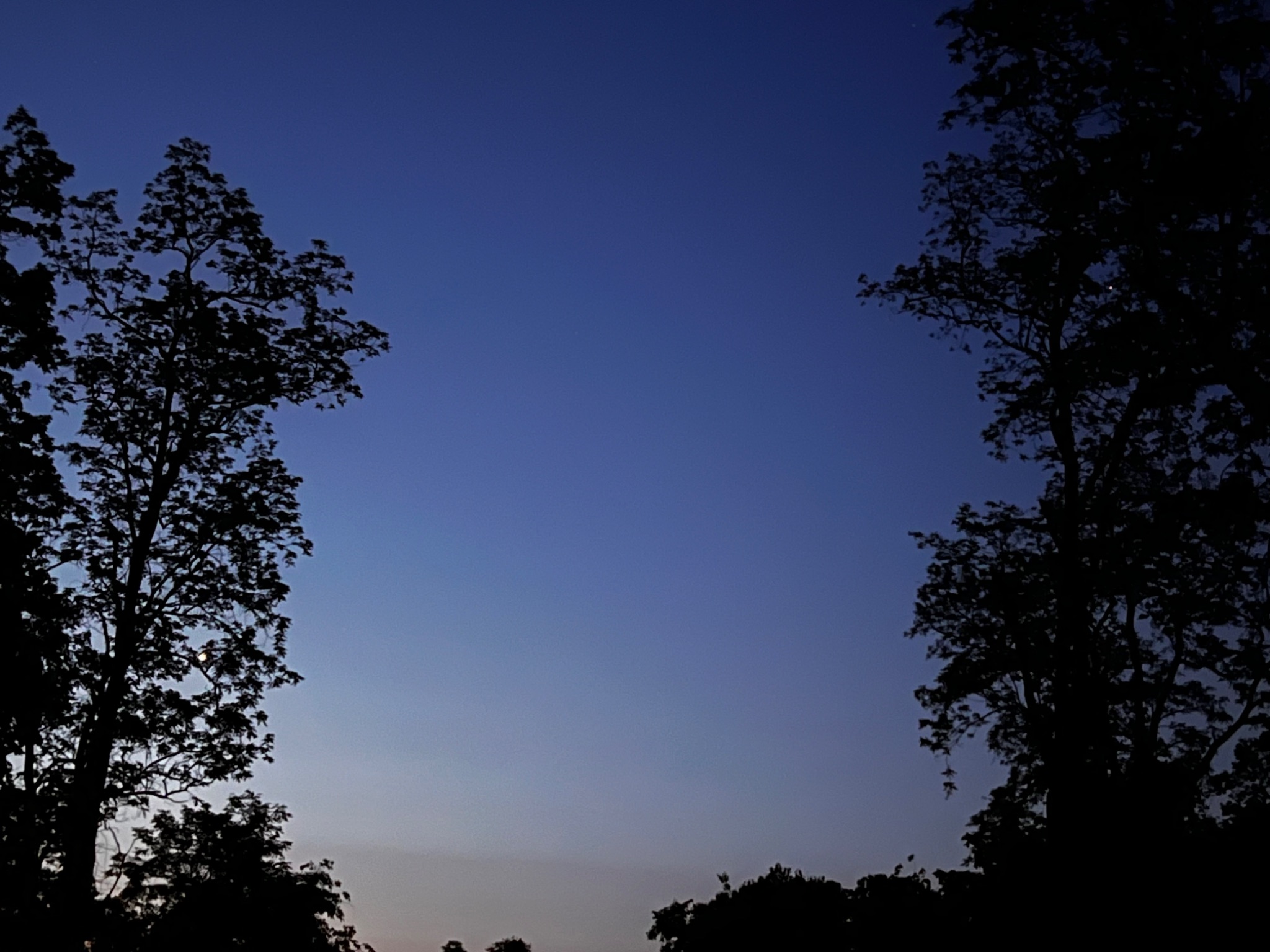 Community photo by Sudhir