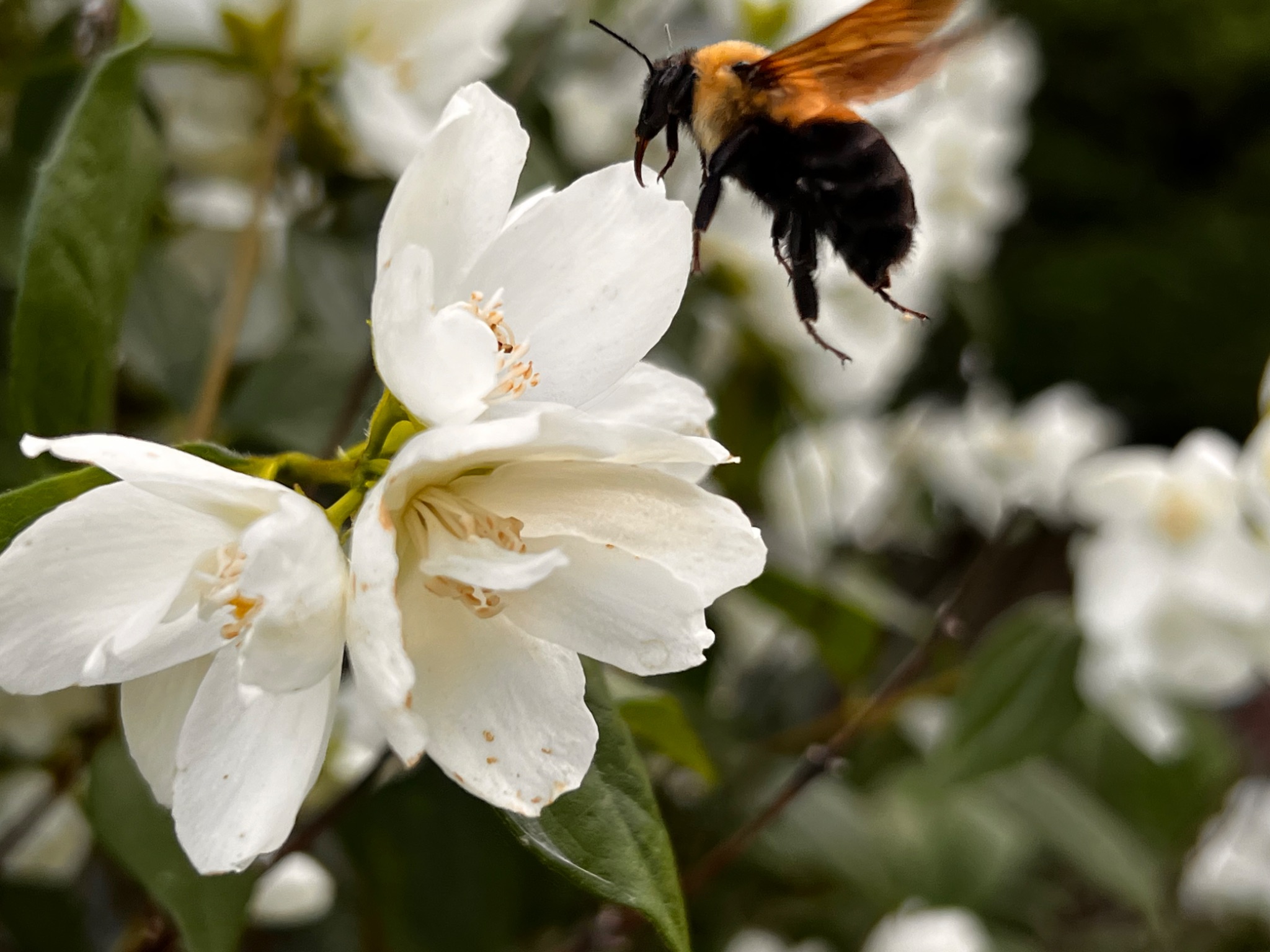 Community photo by Sudhir