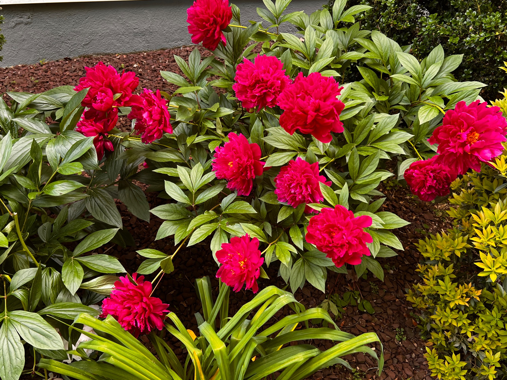 Community photo by Sudhir