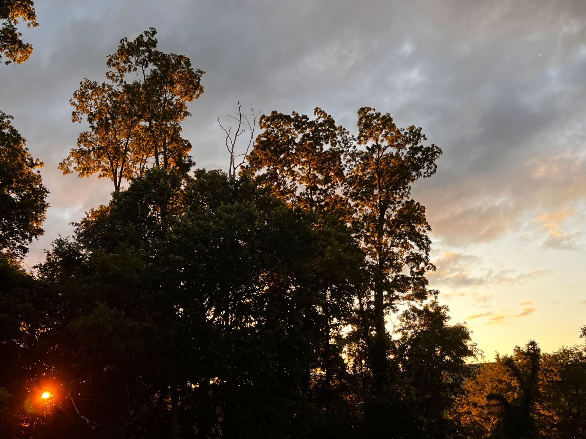 Community photo by Sudhir