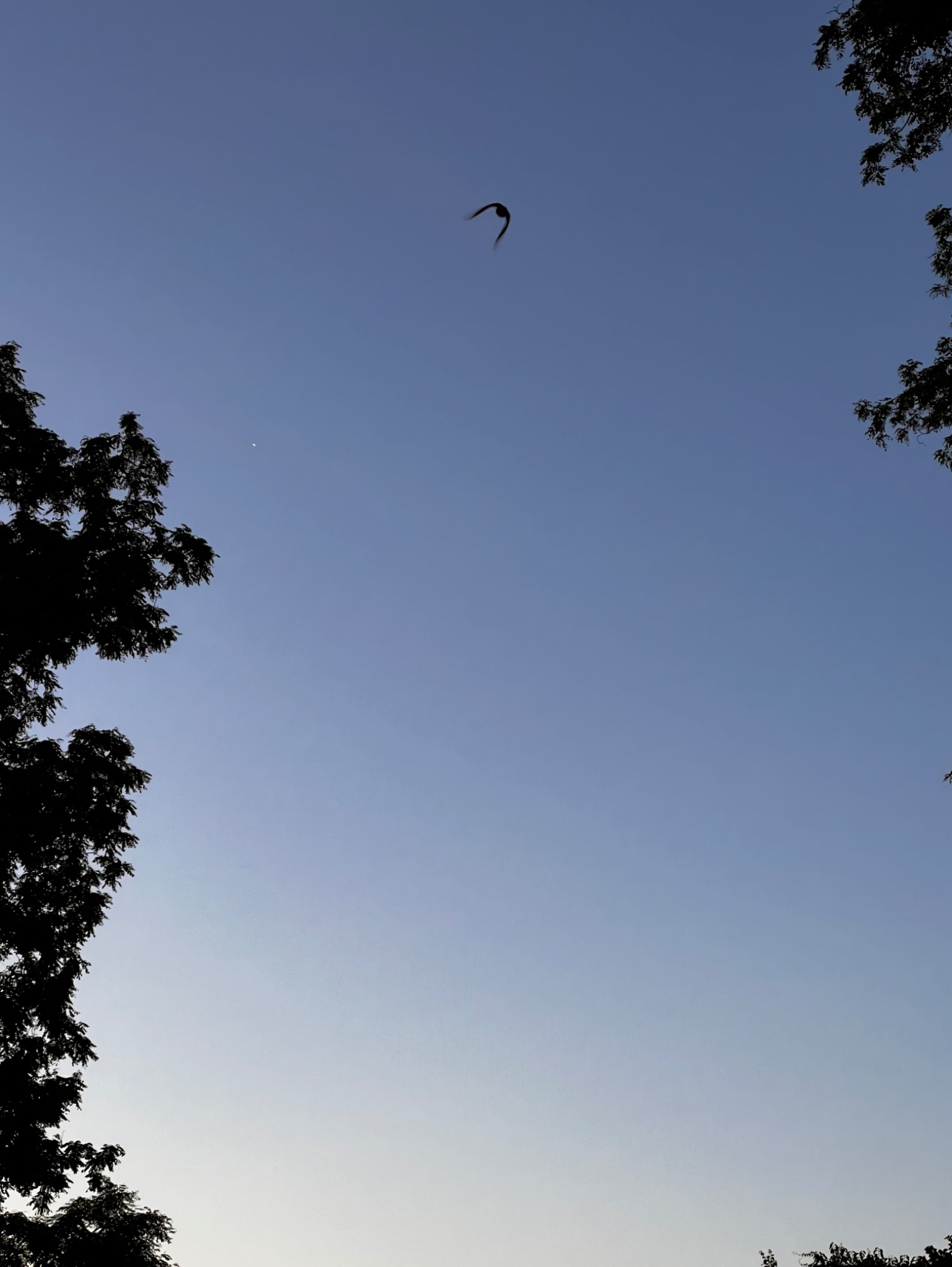 Community photo by Sudhir