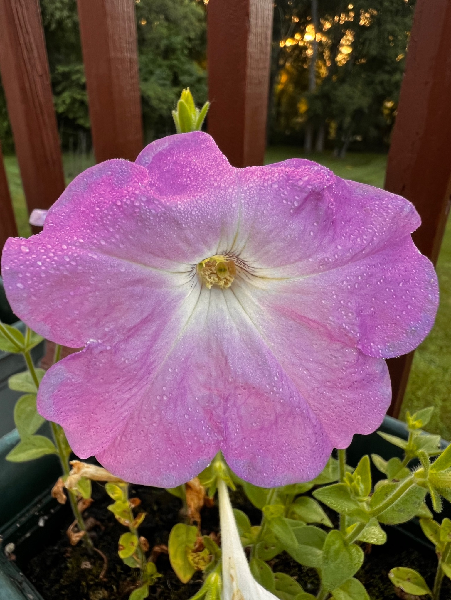 Community photo by Sudhir