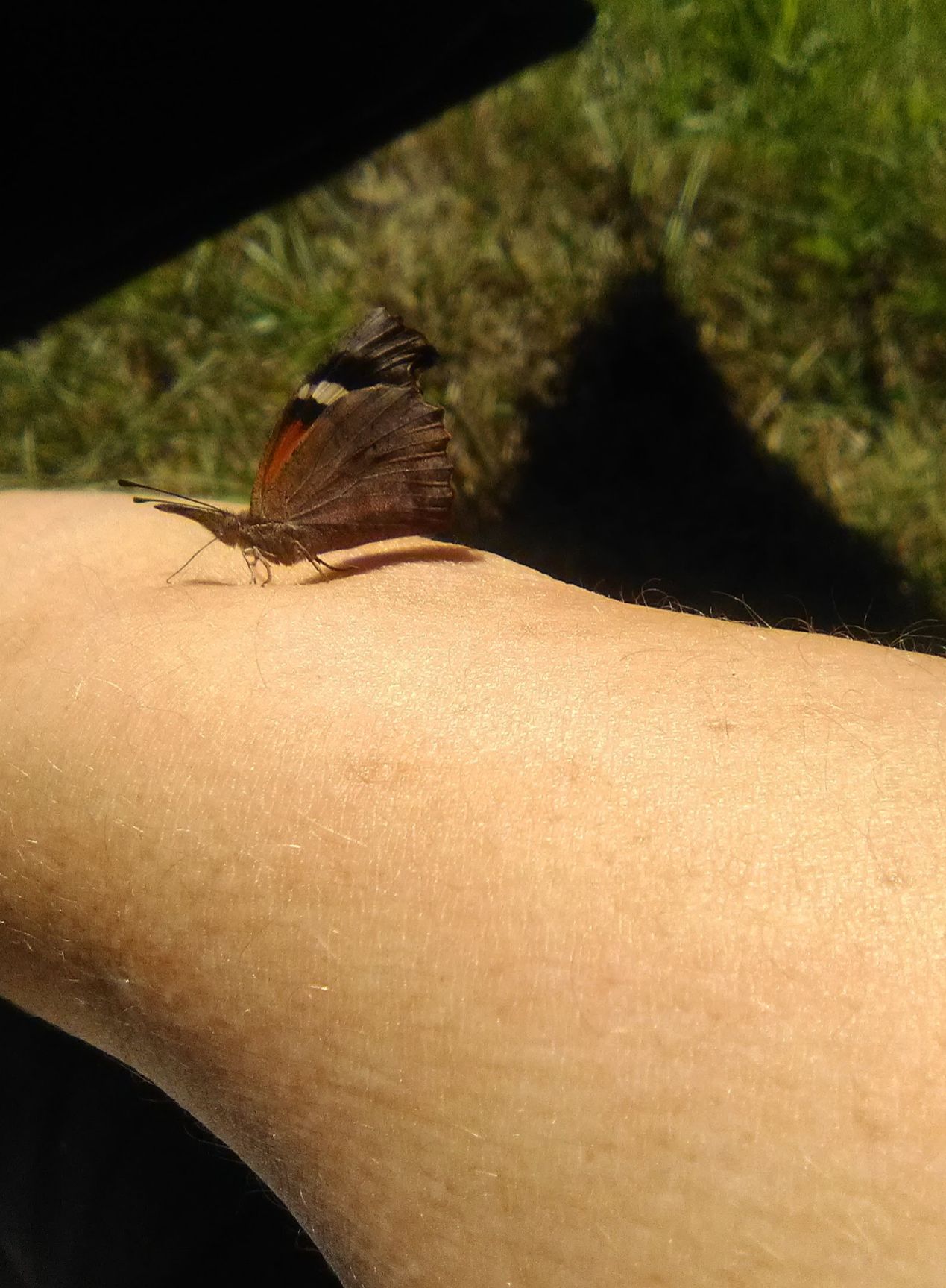 Community photo by Amanda