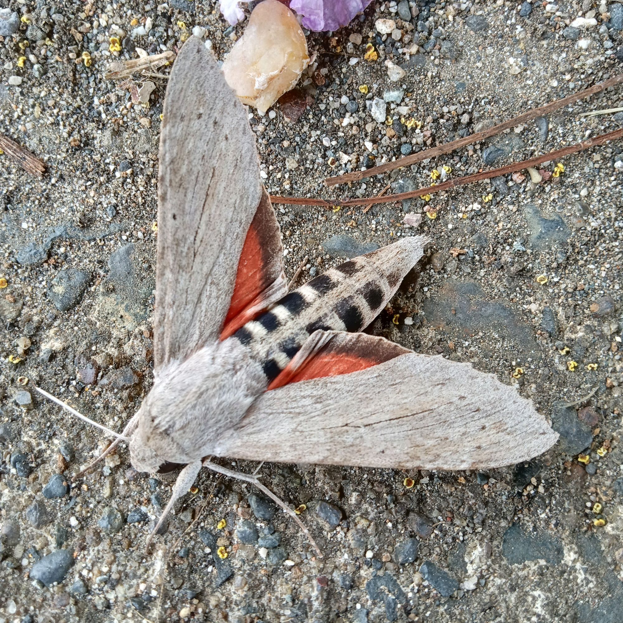Community photo by Armando Caussade | San Juan, Puerto Rico