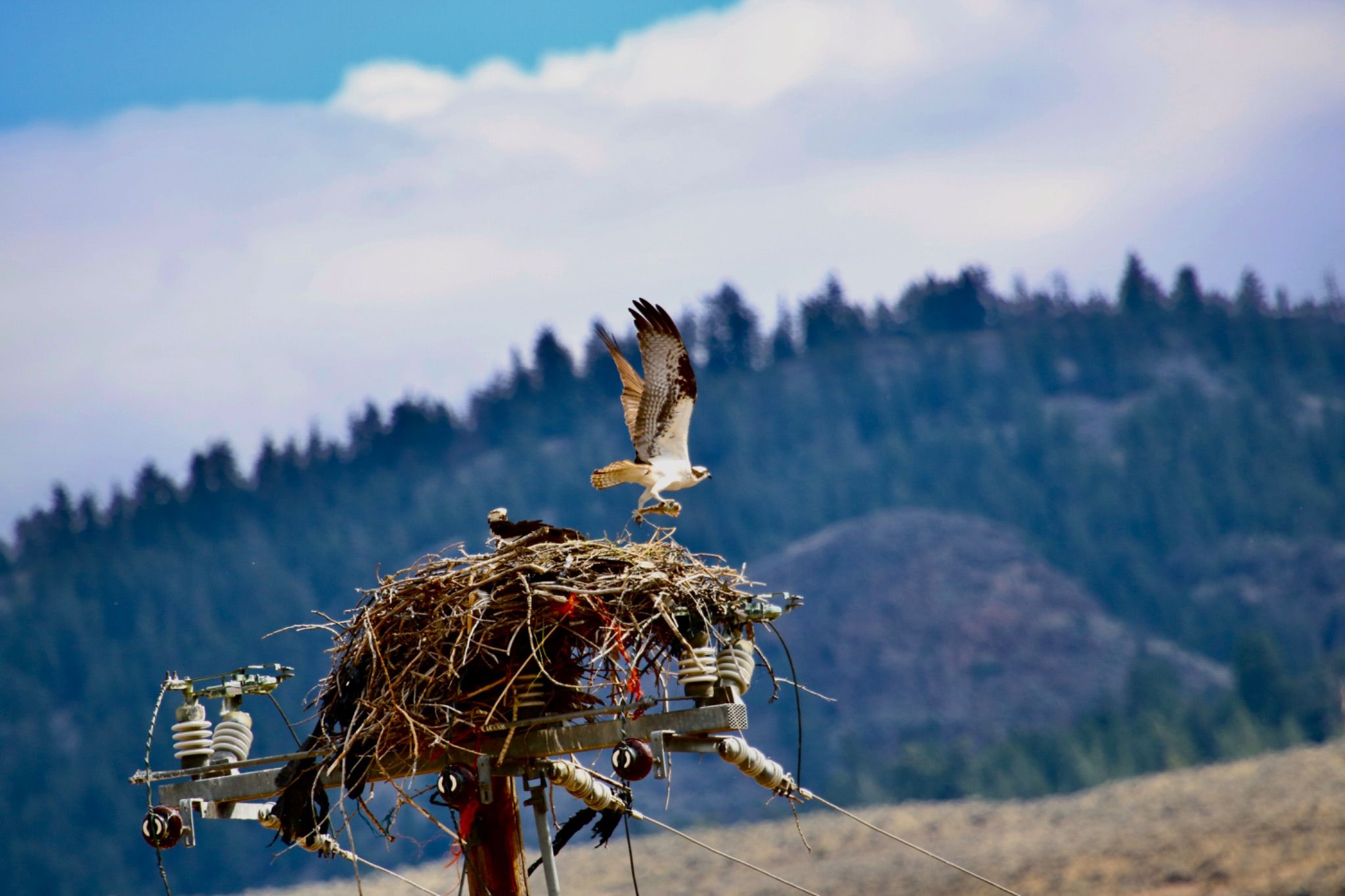 Community photo by Gene