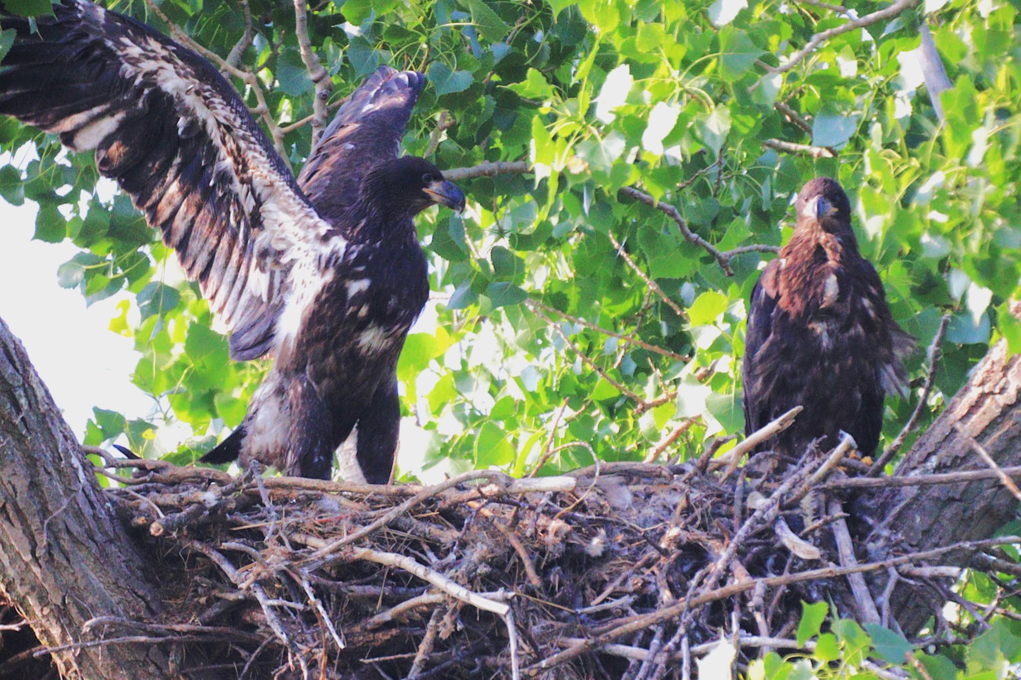 Community photo by Randy