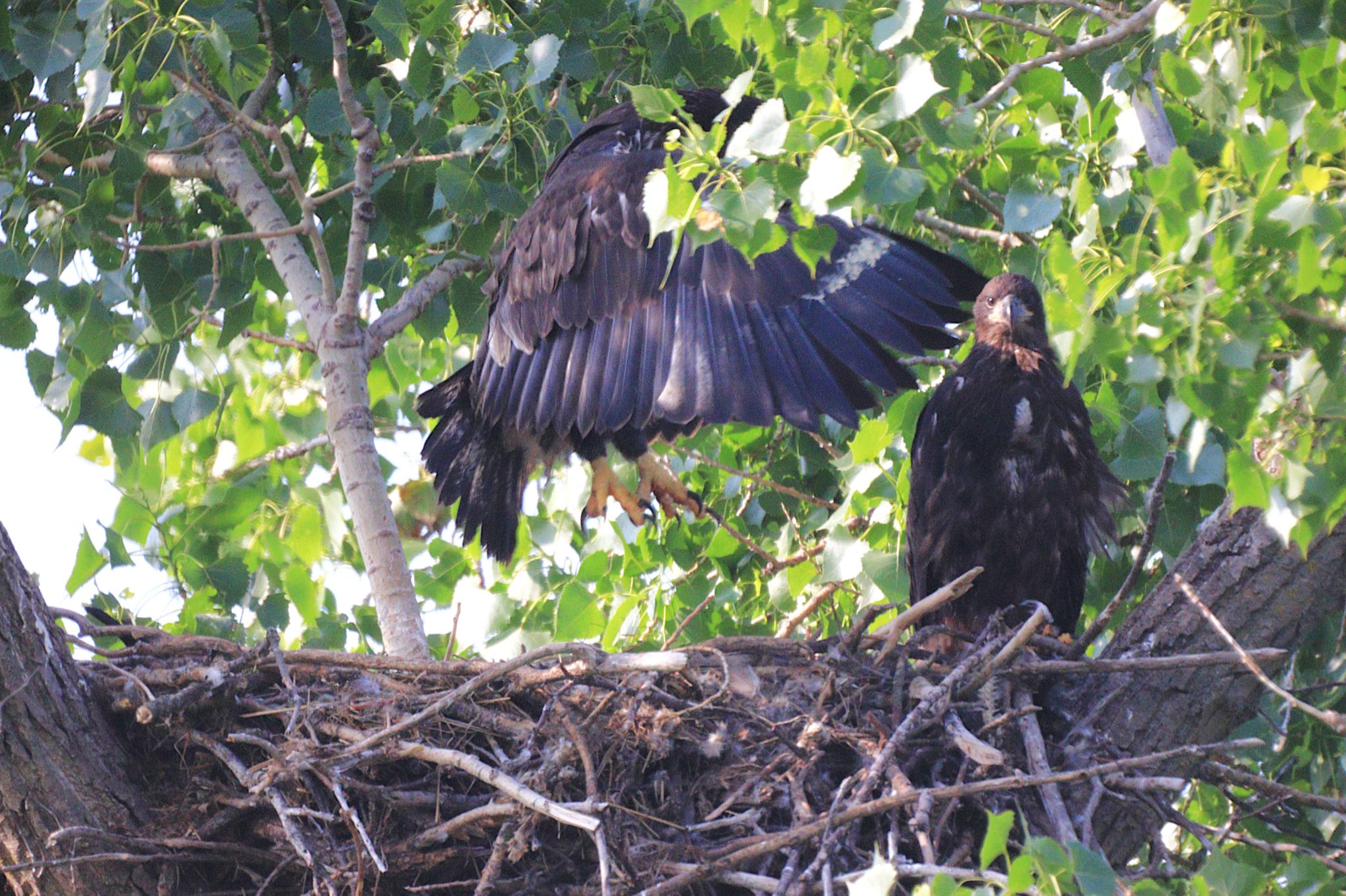Community photo by Randy Strauss | Eagle Ridge Park, Nebraska