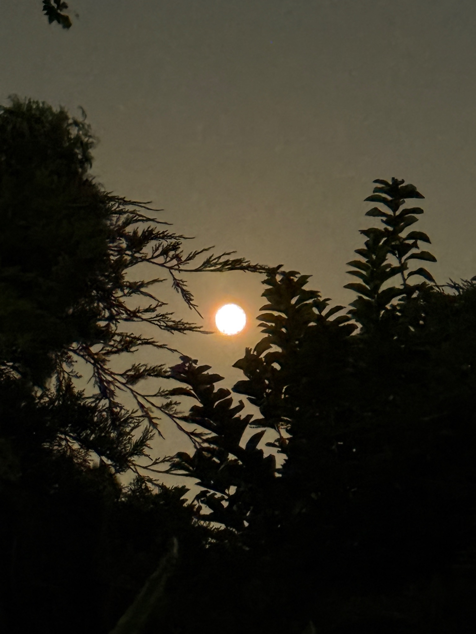 Community photo by Martin