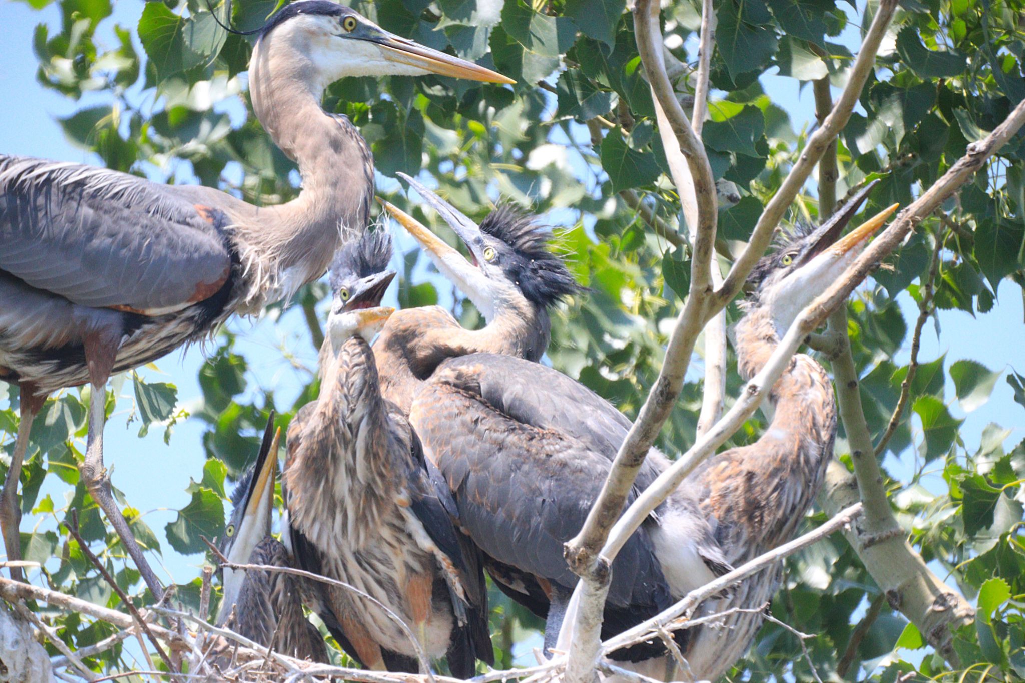 Community photo by Randy