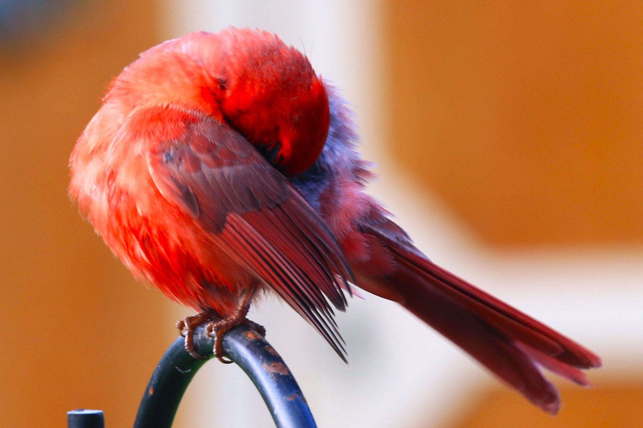 Community photo by Bill