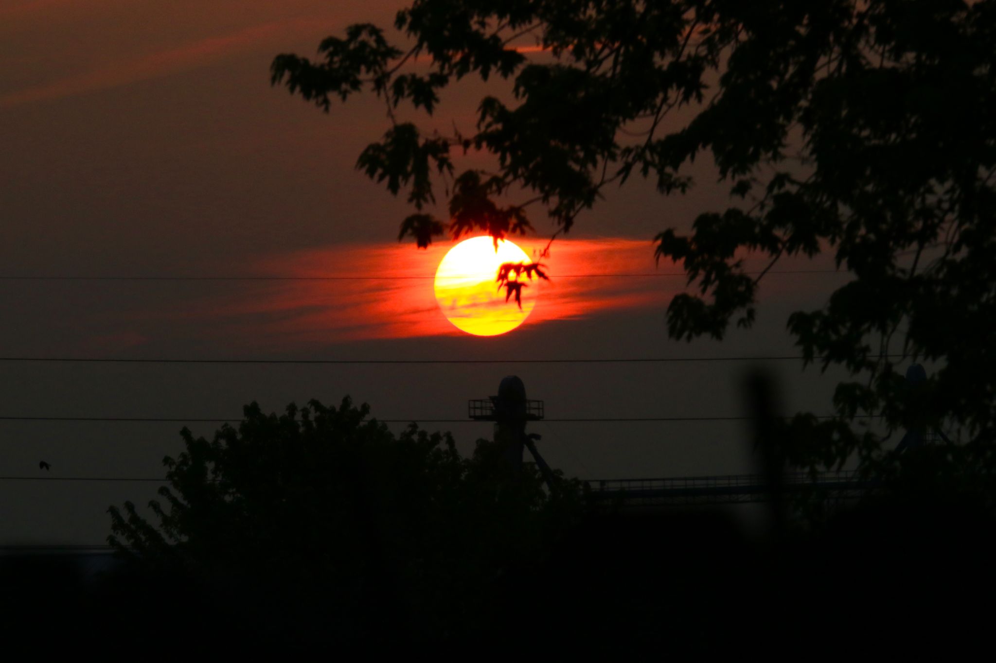 Community photo by Bill