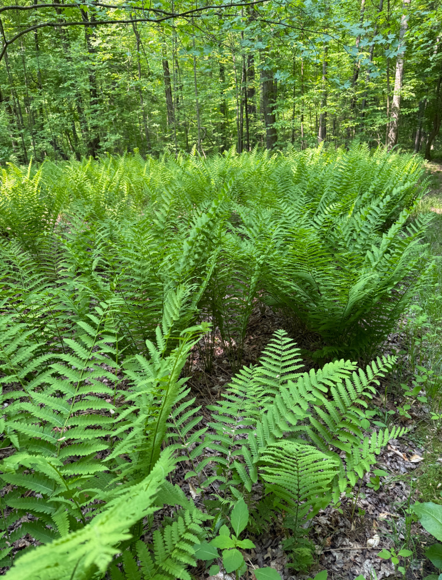 Community photo by Edward