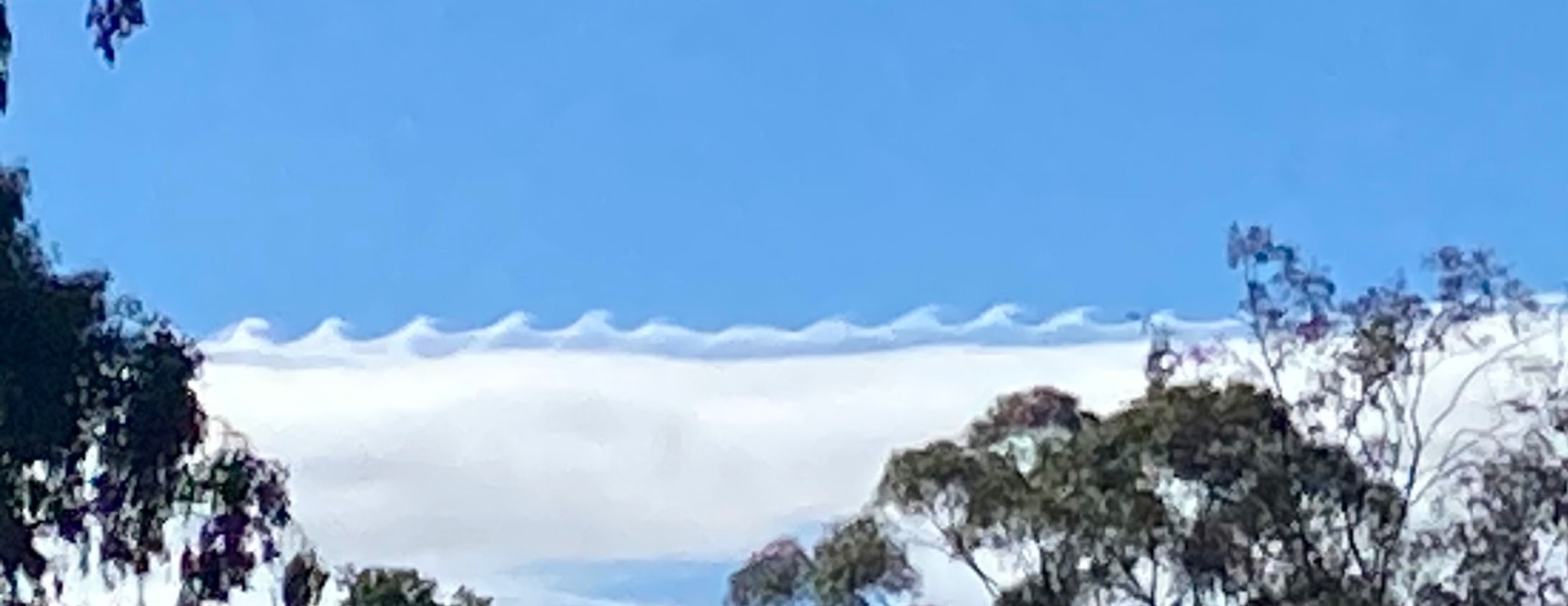 Community photo by Jess