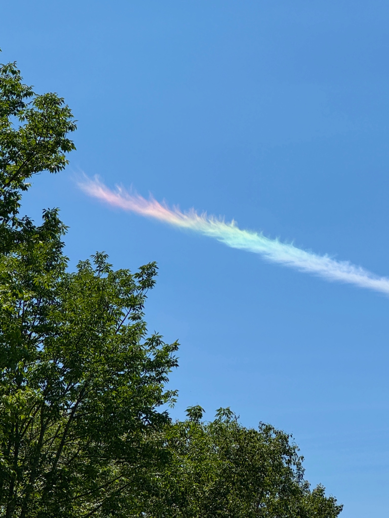 Community photo by Clara