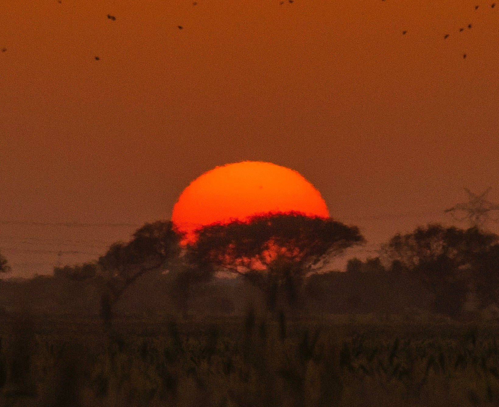 Community photo by Muhammad Abdul Rehman | Gujrat ,Punjab, Pakistan