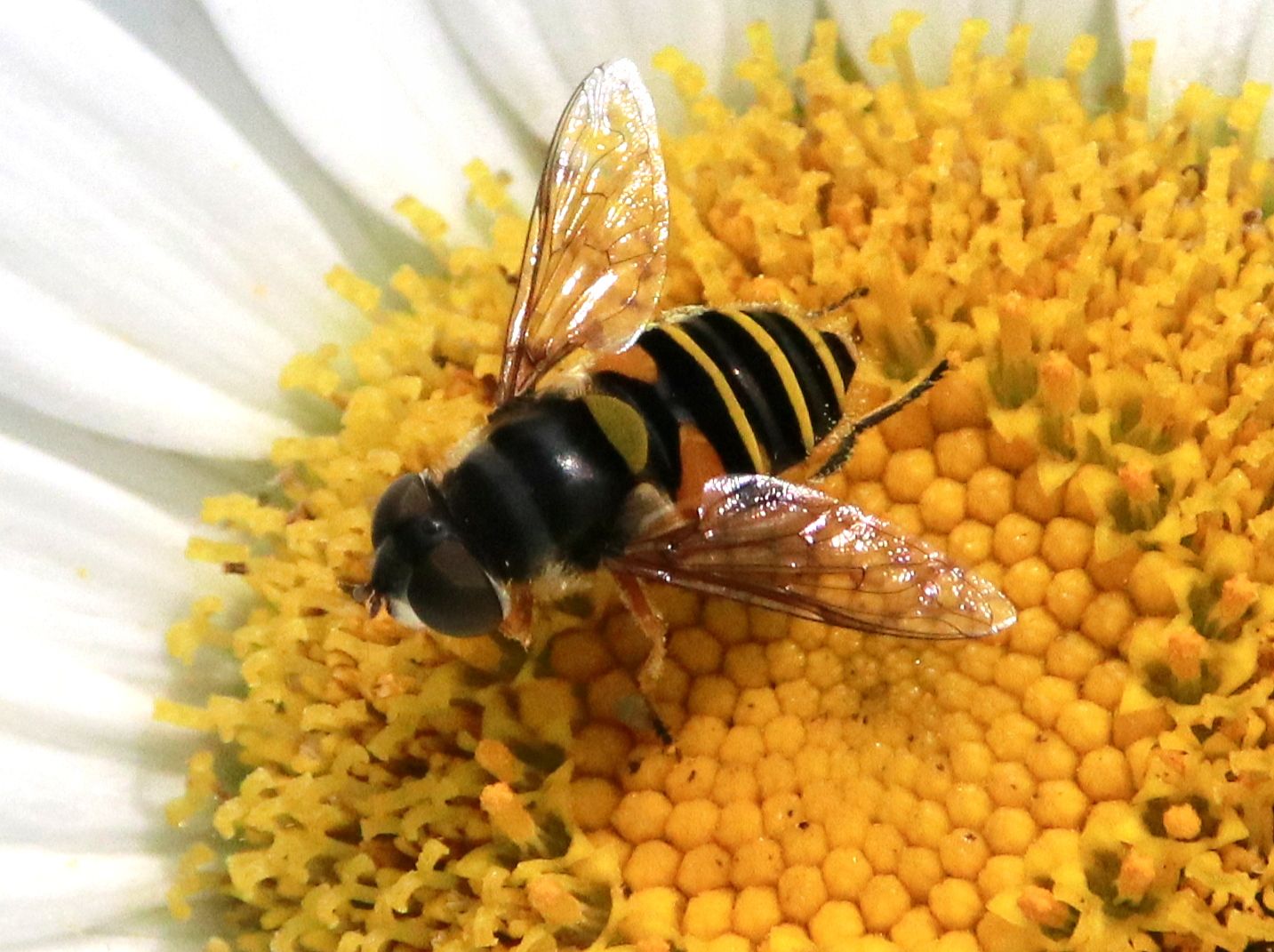 Community photo by David