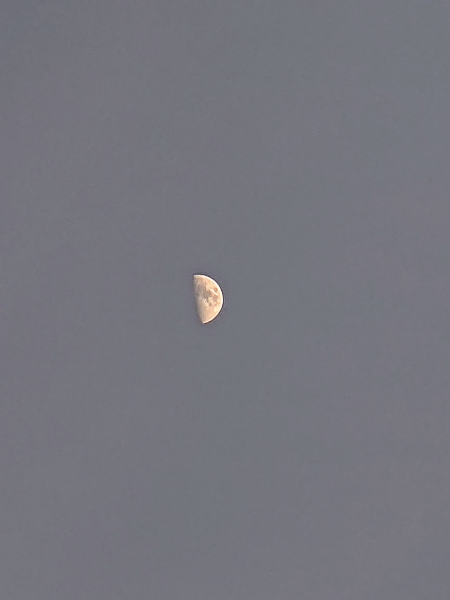 Community photo by Kevan