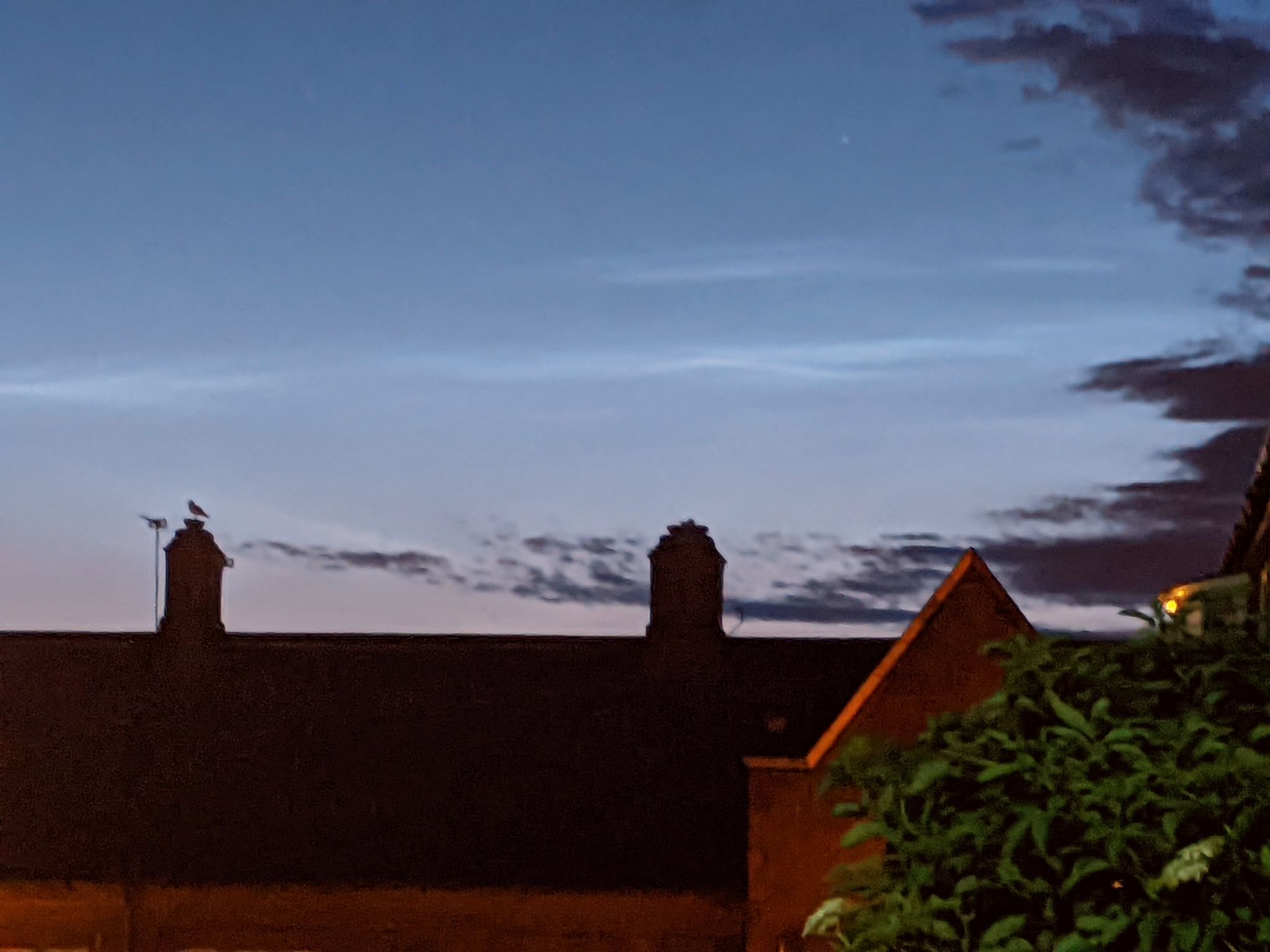 Community photo by Kevan