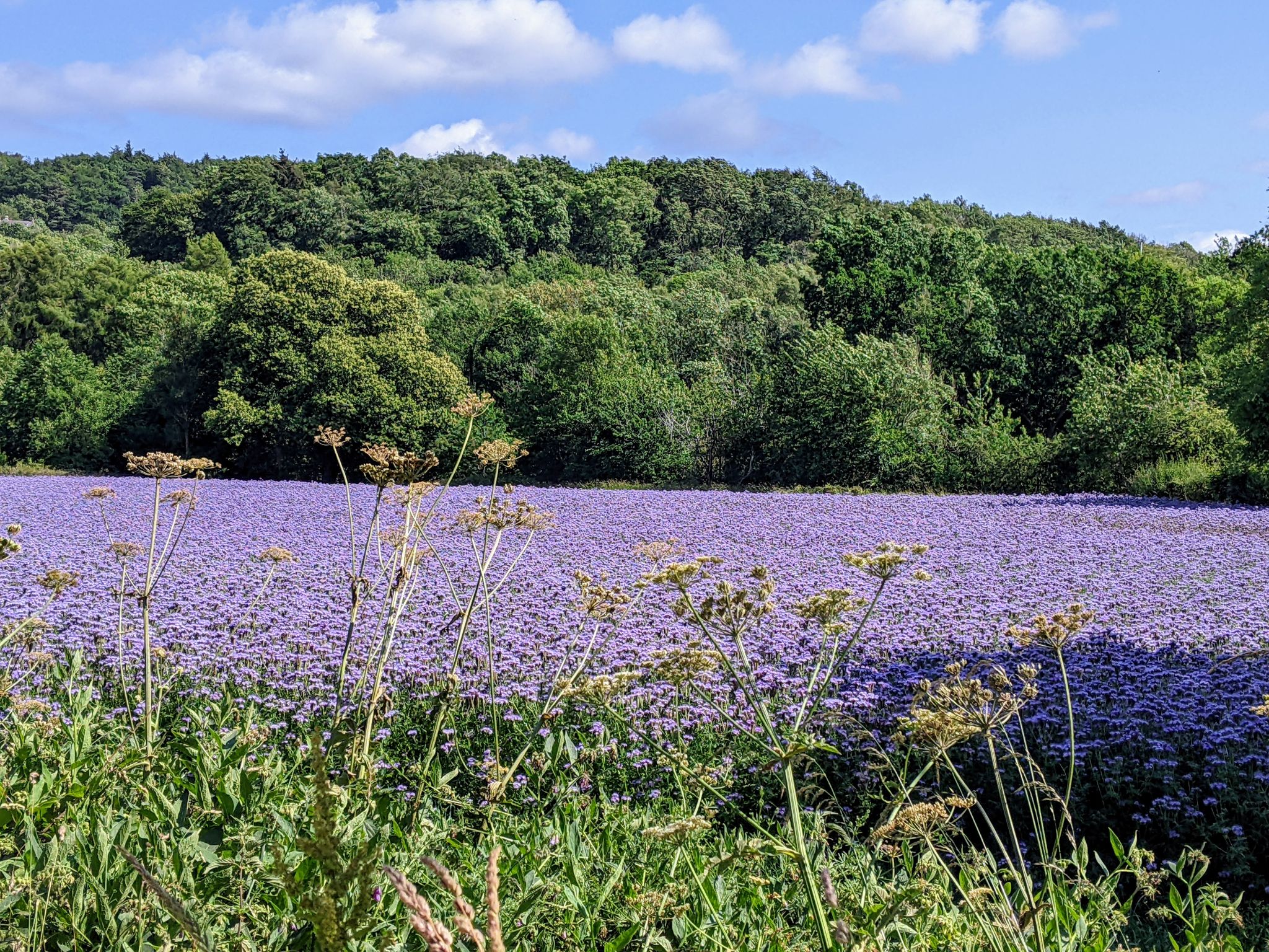 Community photo by Kevan