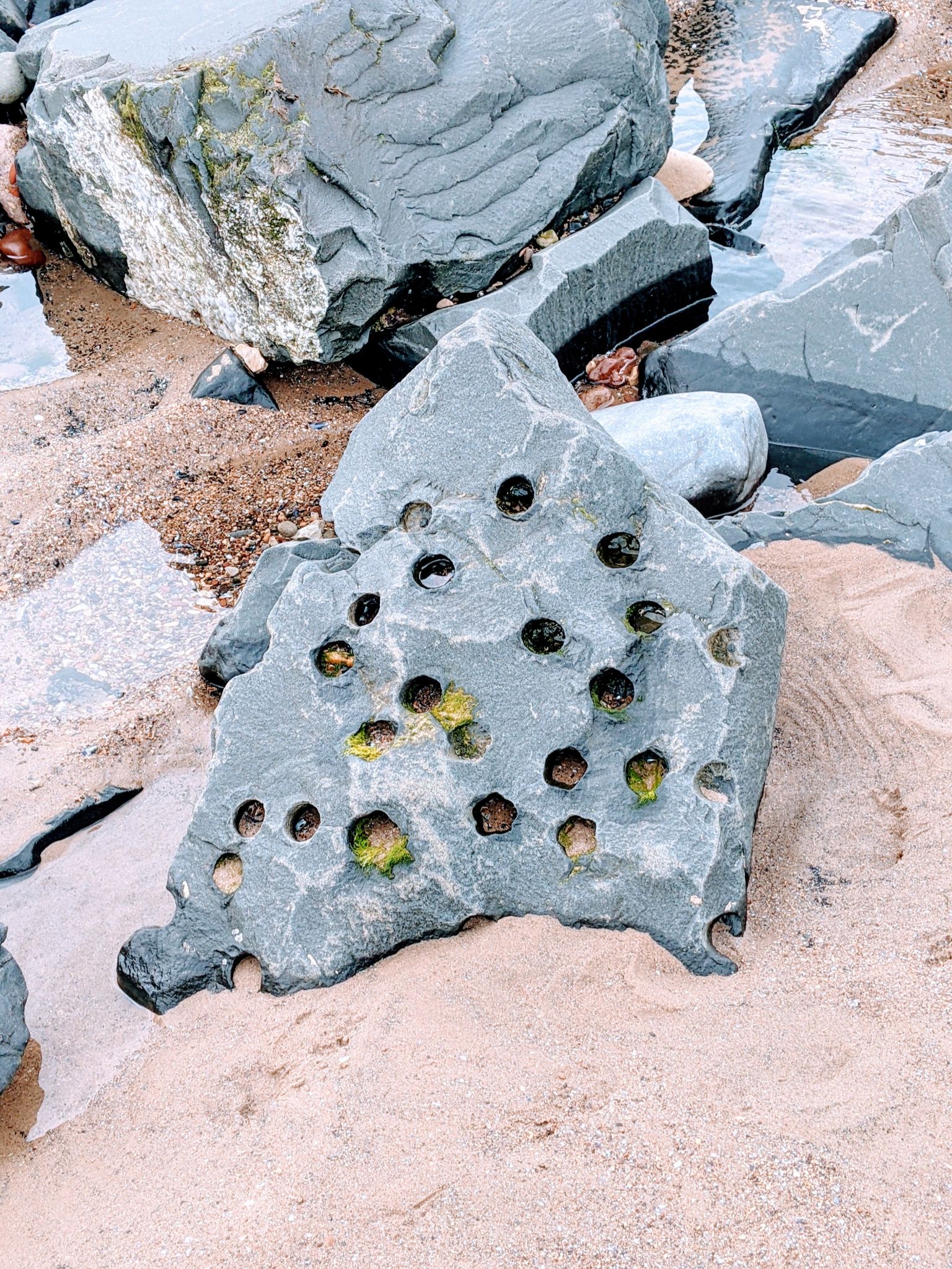 Community photo by Kevan