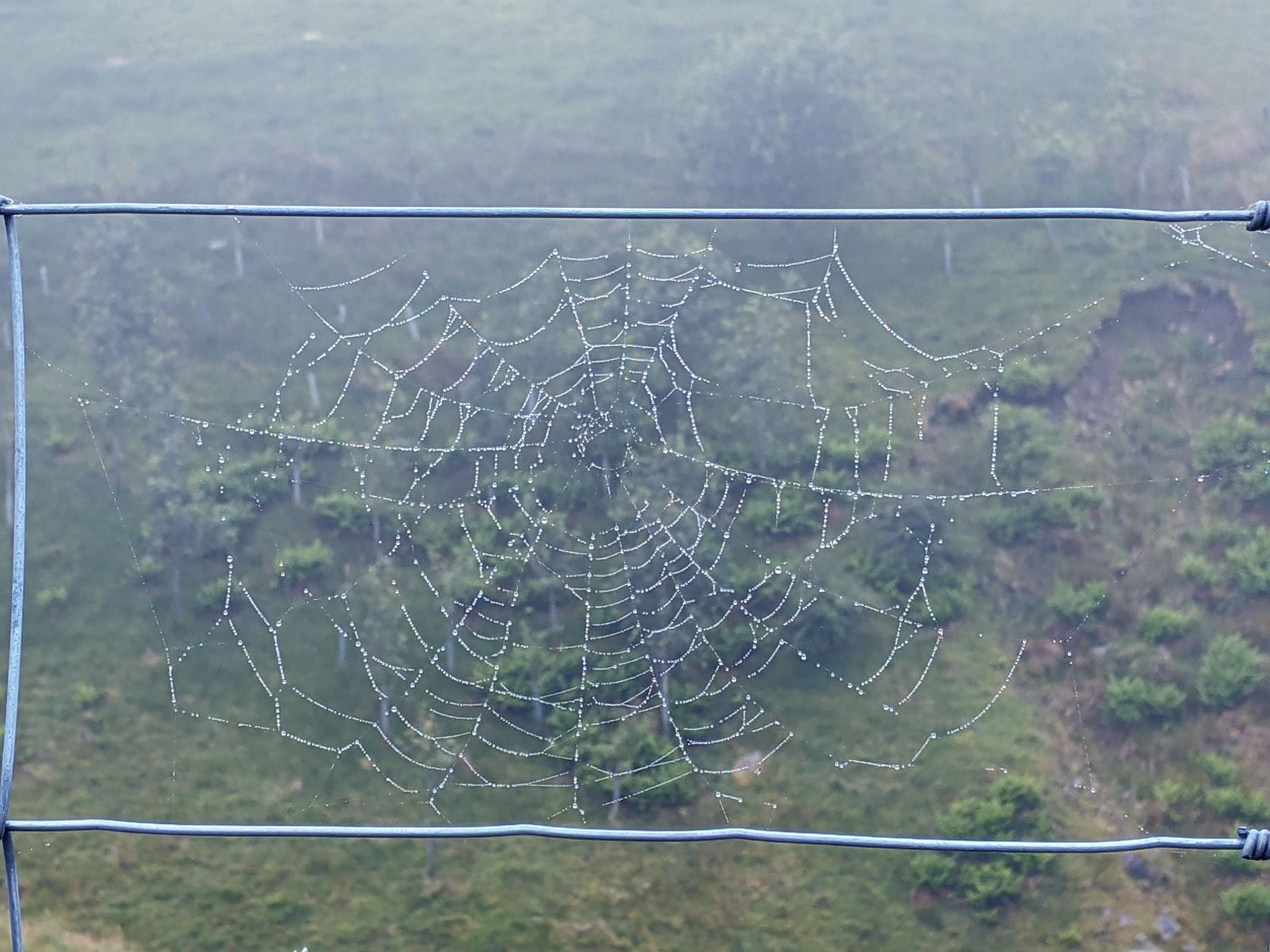 Community photo by Kevan