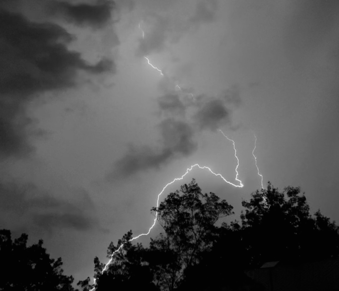 Community photo by Donna Collins | Near Birmingham, AL USA