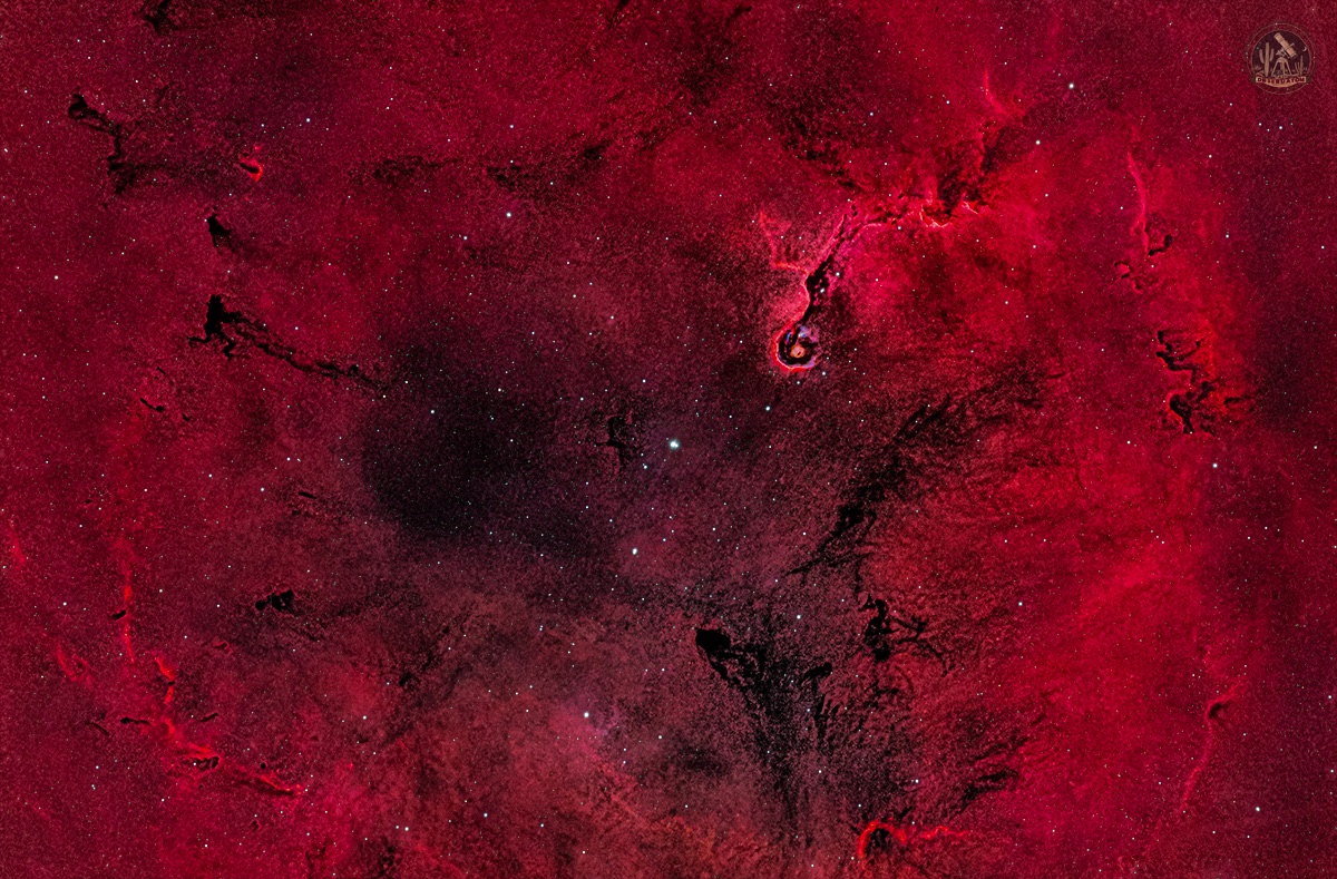 Community photo by Jelieta Walinski Ph.D | Desert Bloom Observatory, AZ, USA