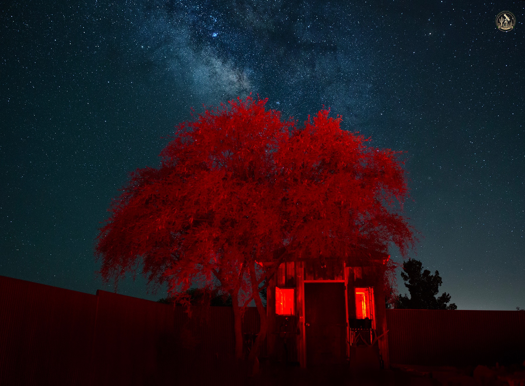 Community photo by Jelieta Walinski Ph.D | Desert Bloom Observatory, AZ, USA