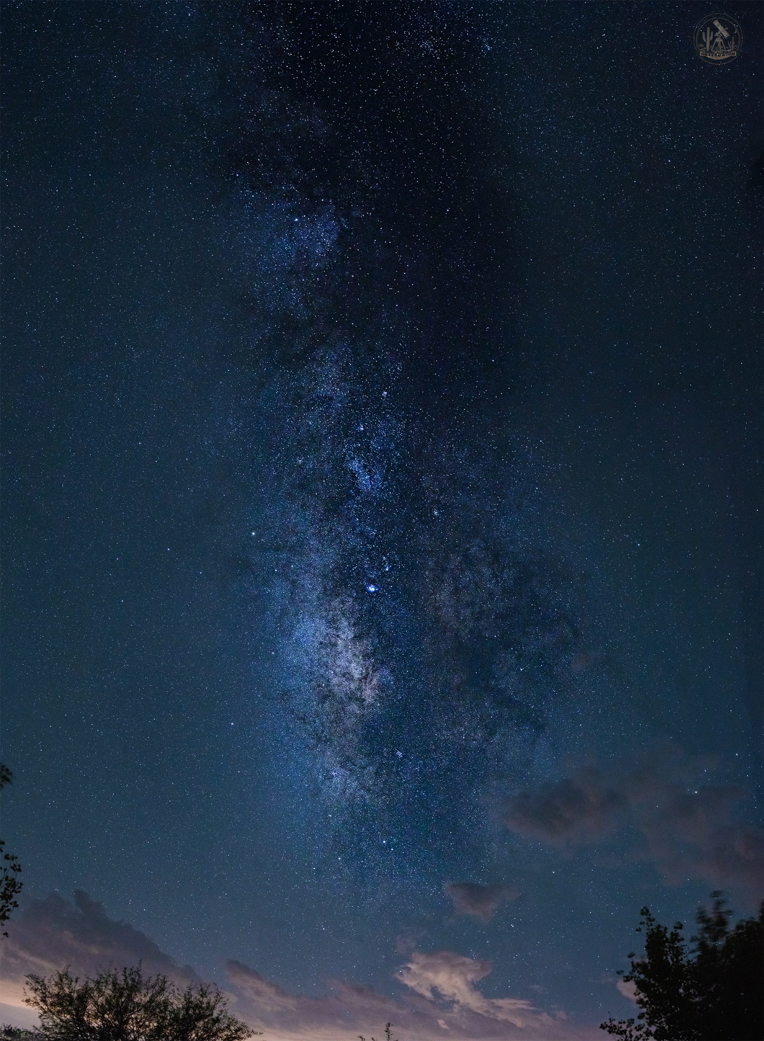 Community photo by Jelieta Walinski Ph.D | Desert Bloom Observatory, AZ, USA