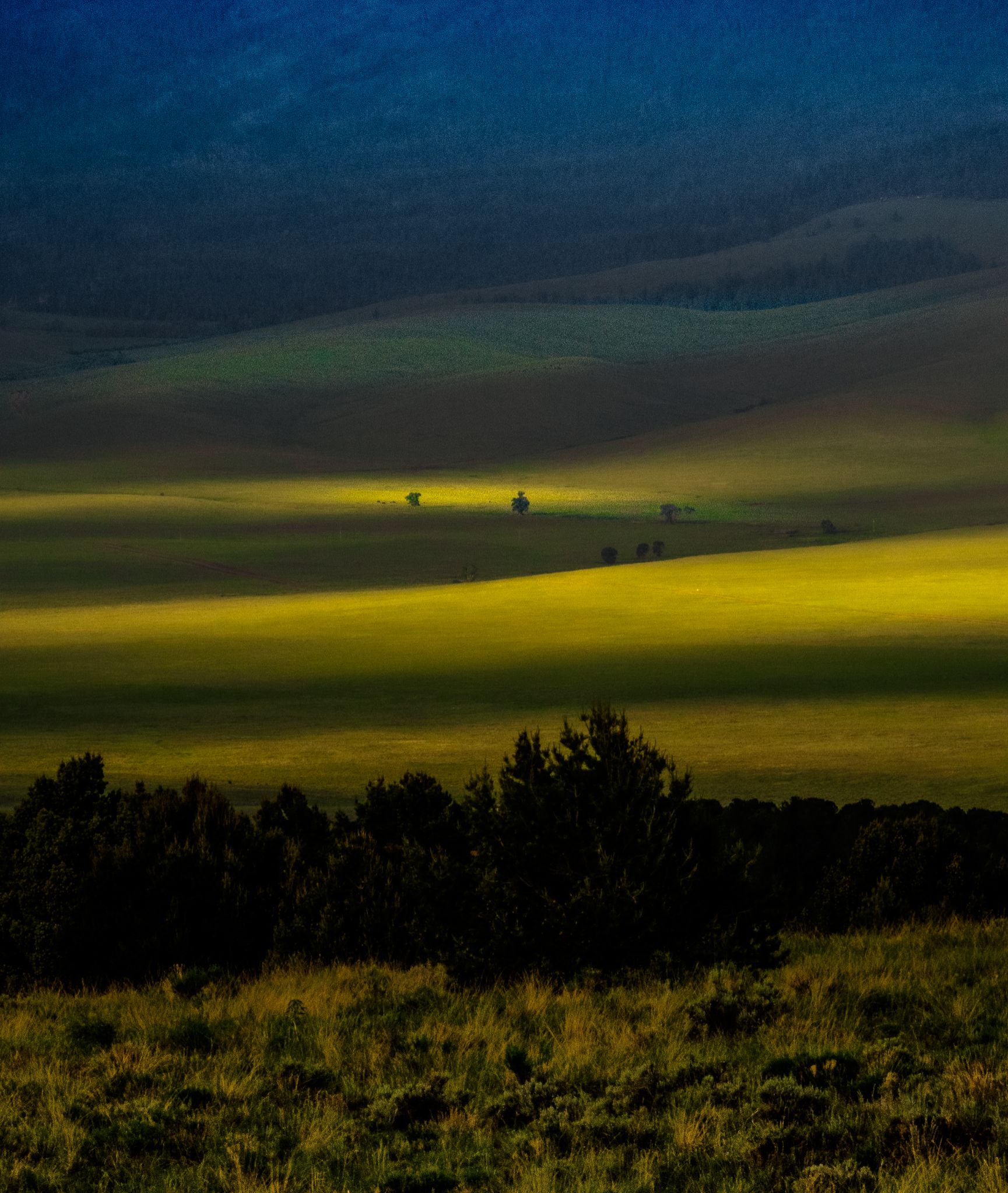 Community photo by Christoph Stopka | Wet Mountain Valley