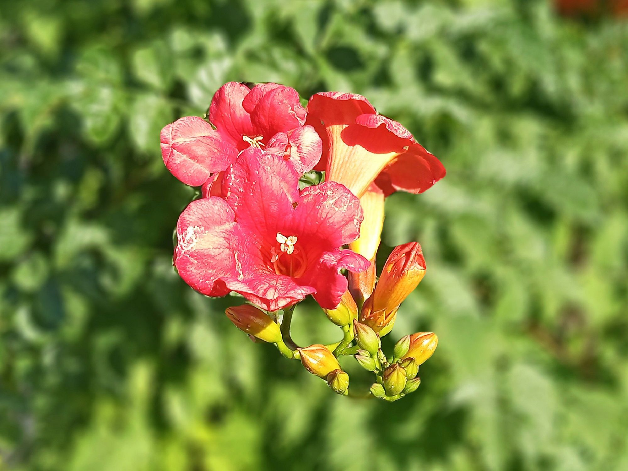 Community photo by Hassan