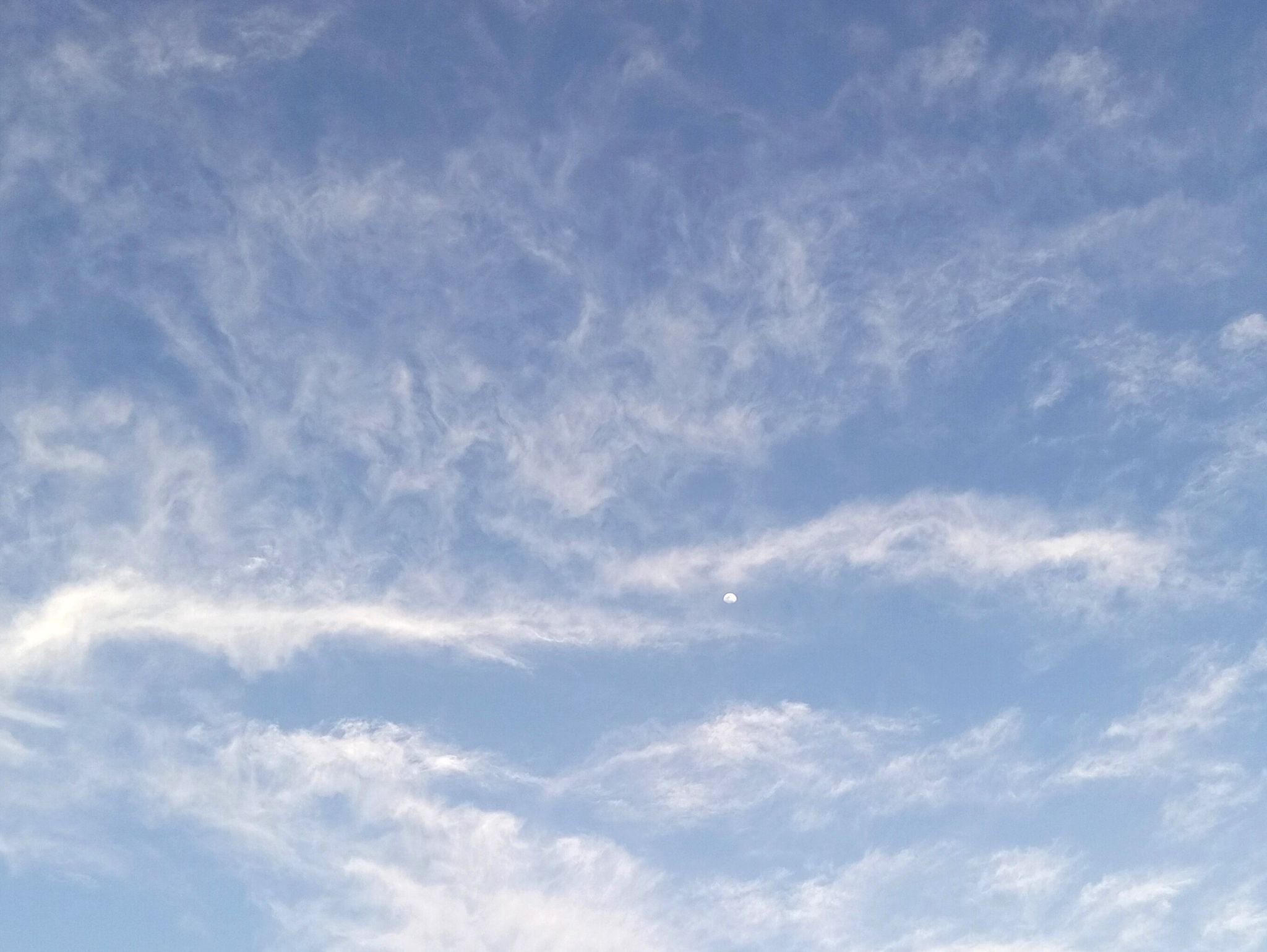 Community photo by Hassan