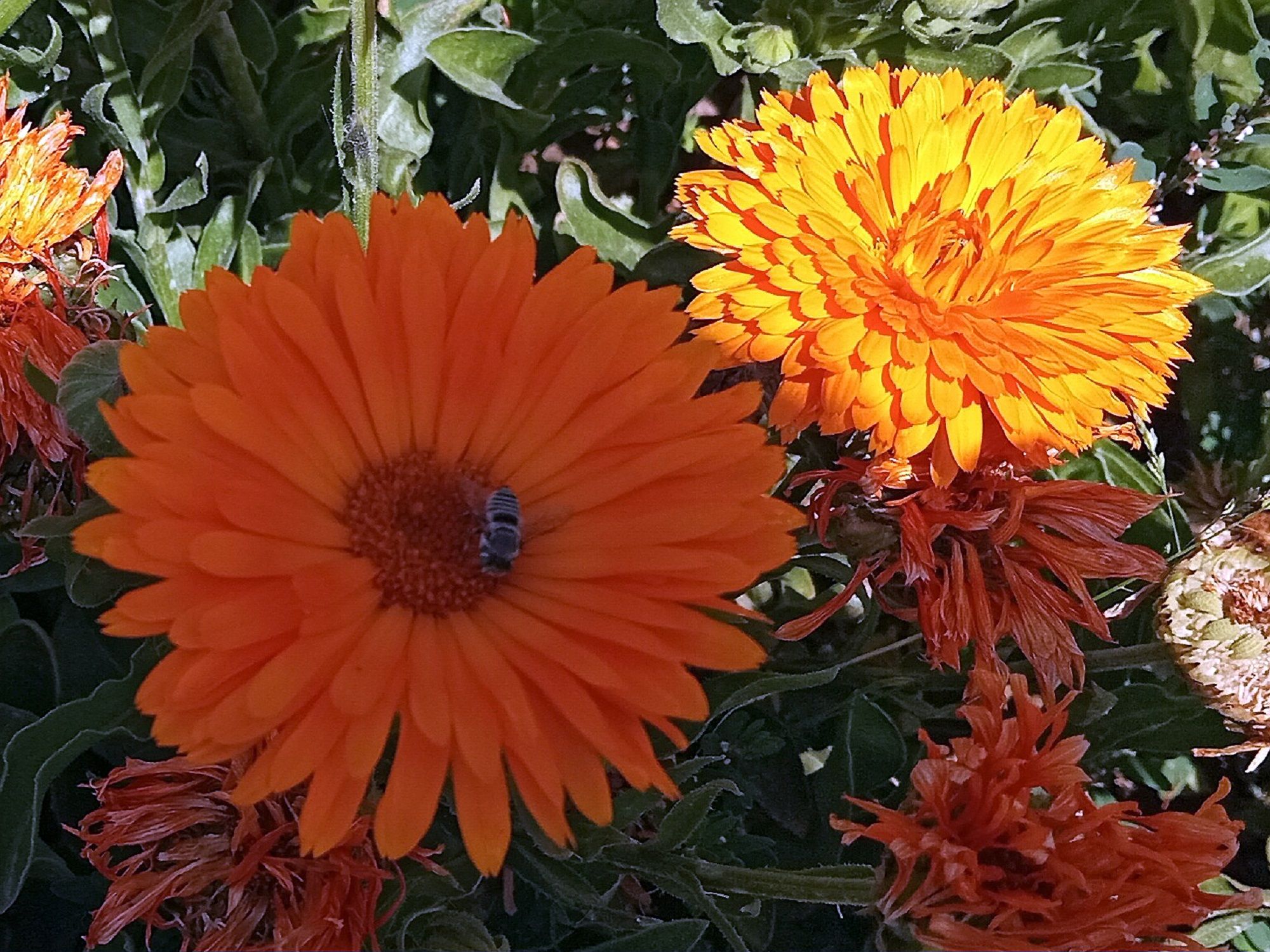 Community photo by Hassan