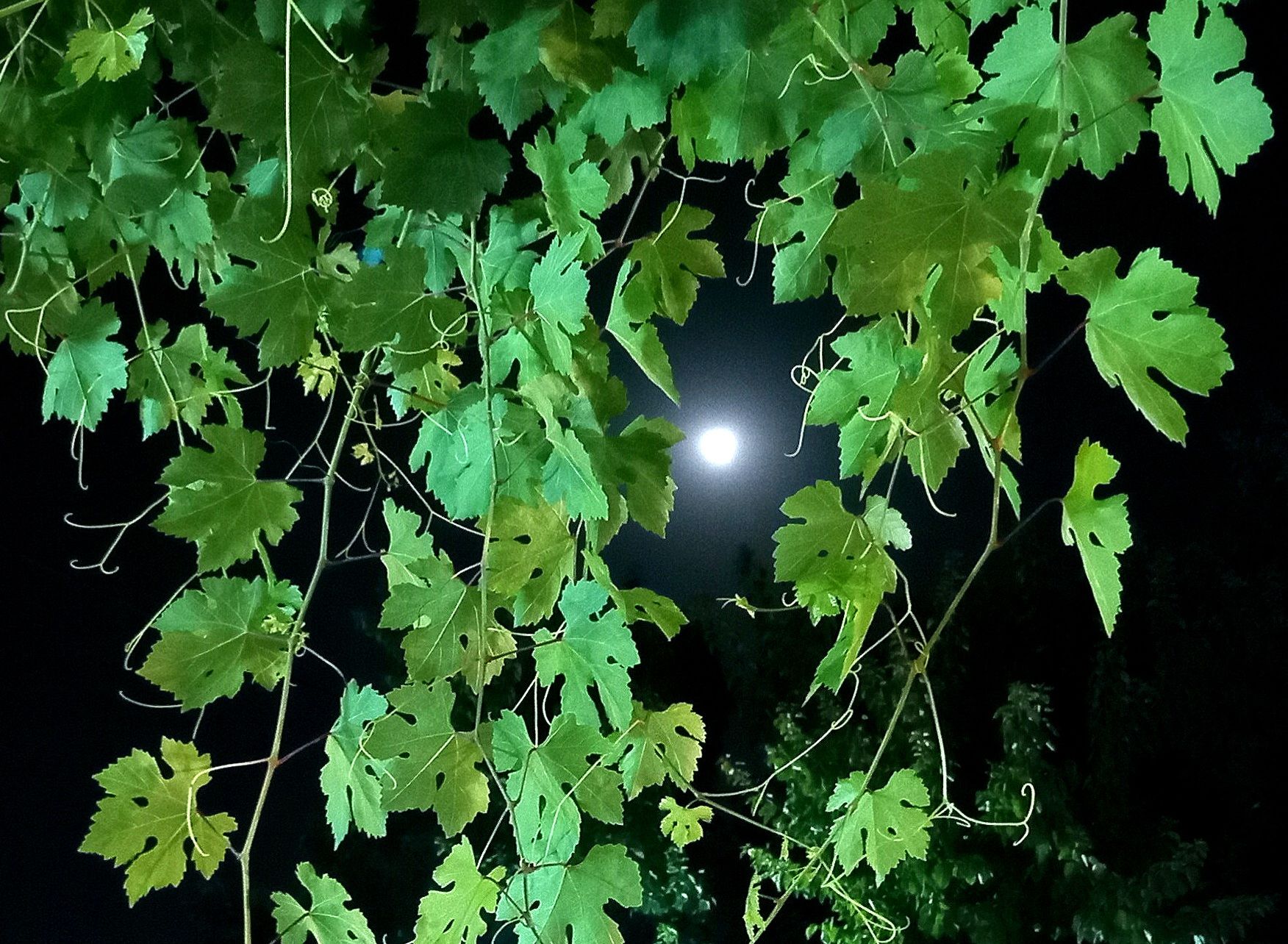 Community photo by Hassan