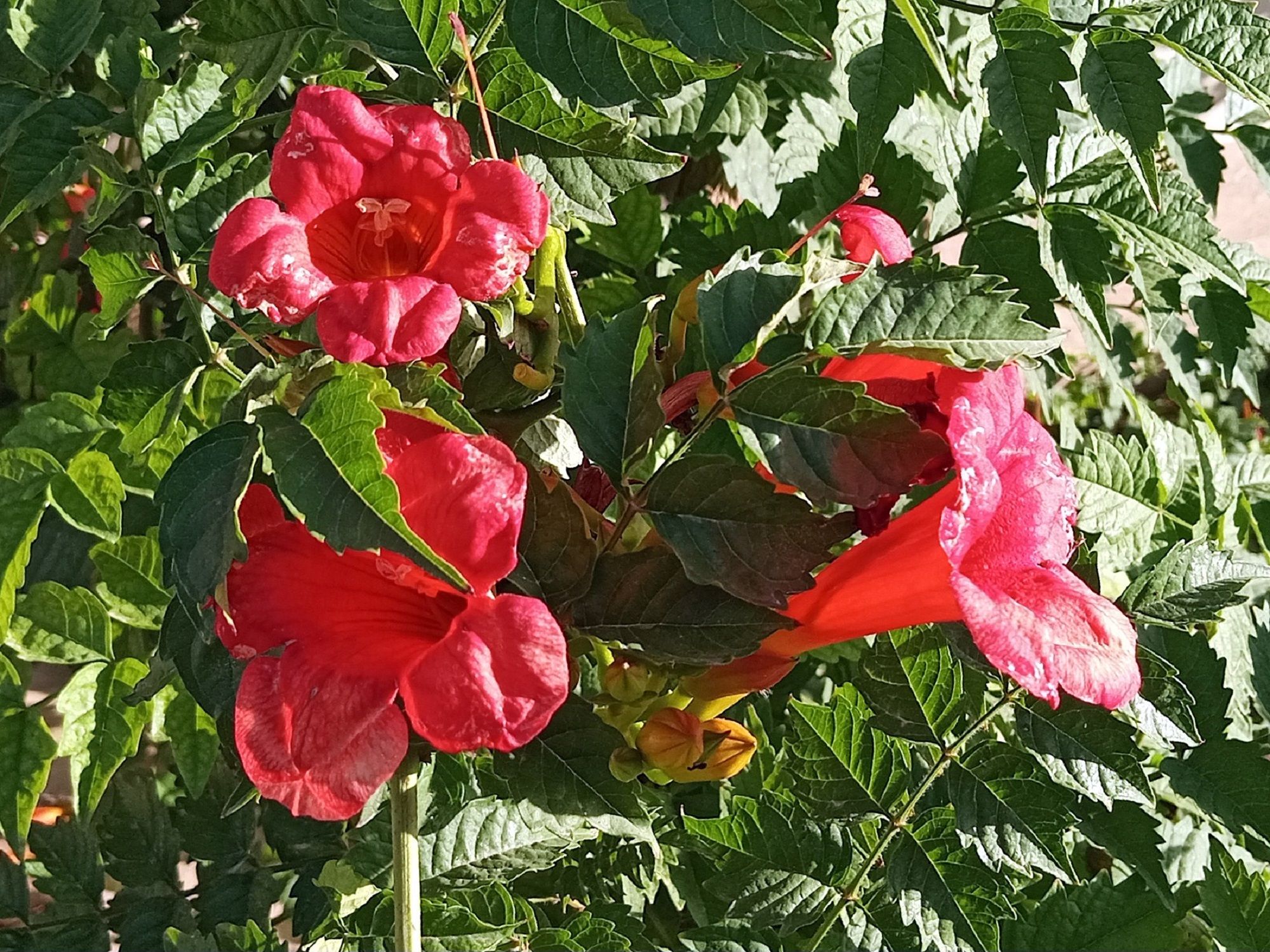 Community photo by Hassan