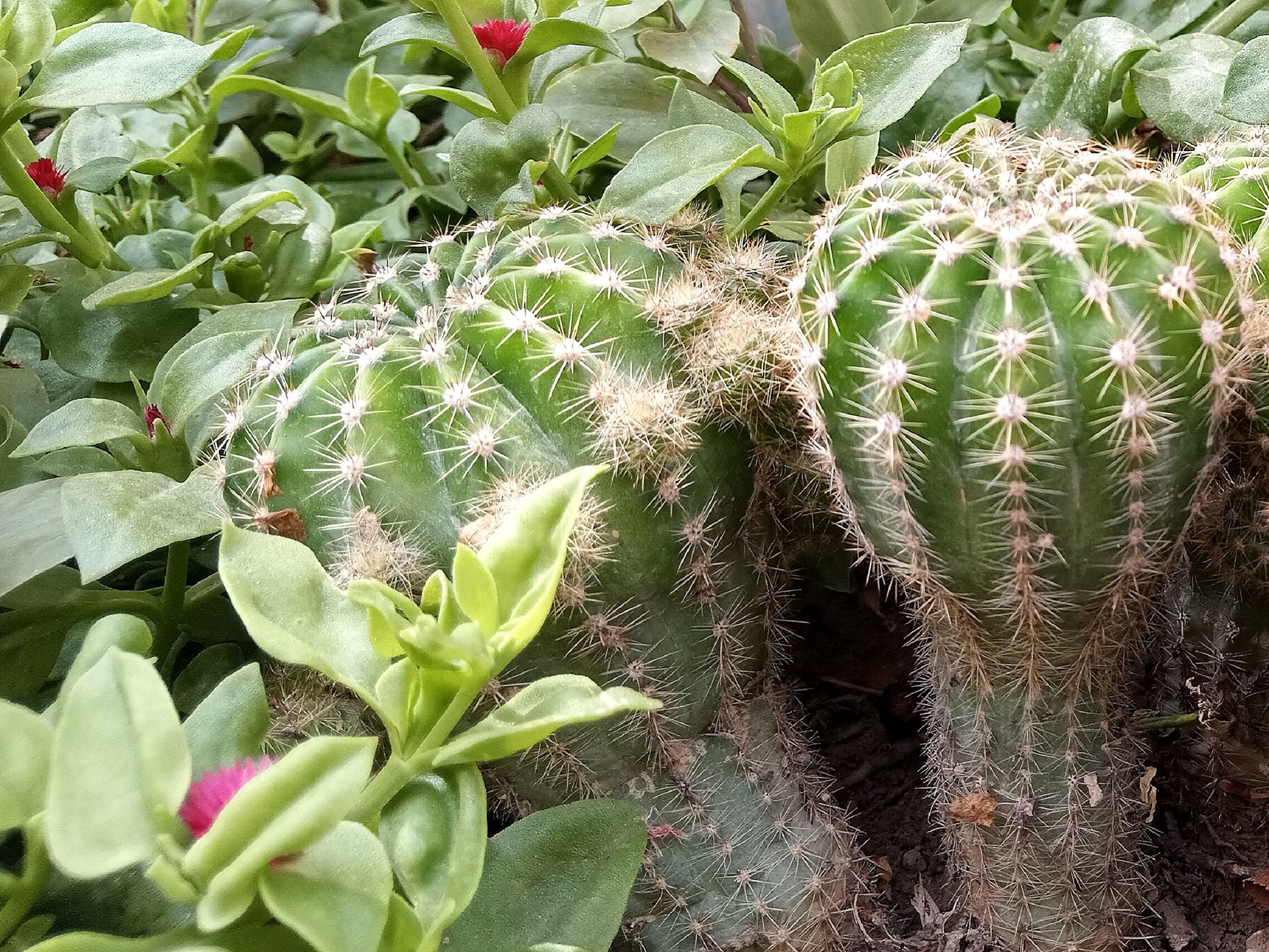 Community photo by Hassan