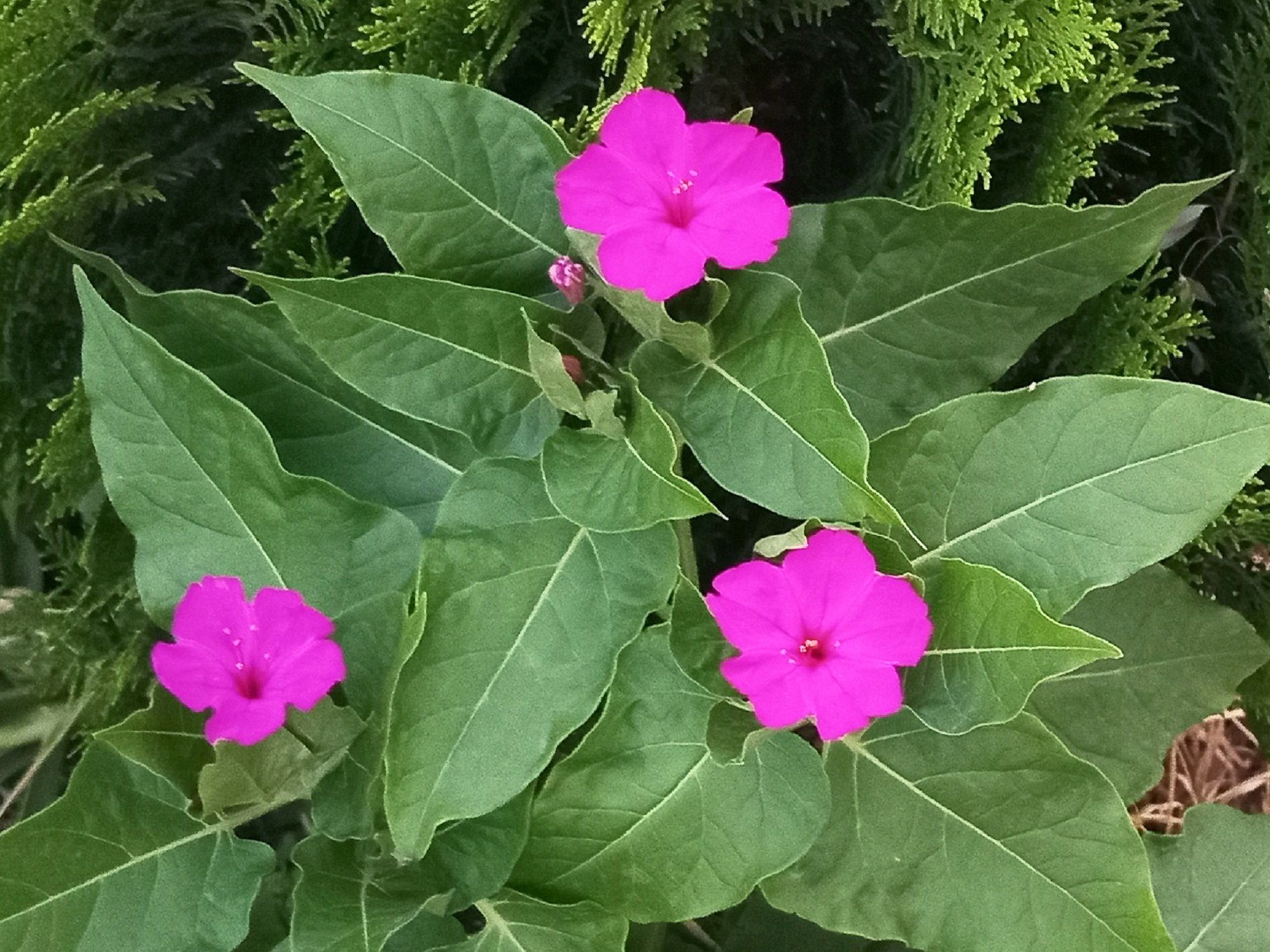 Community photo by Hassan